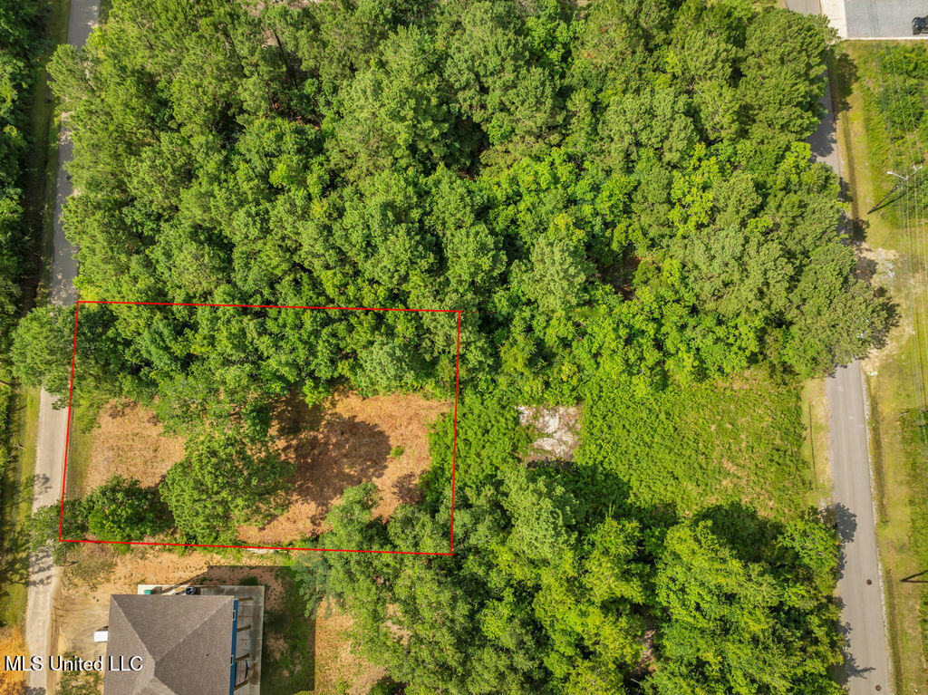 Pogo Road Property Photo 8