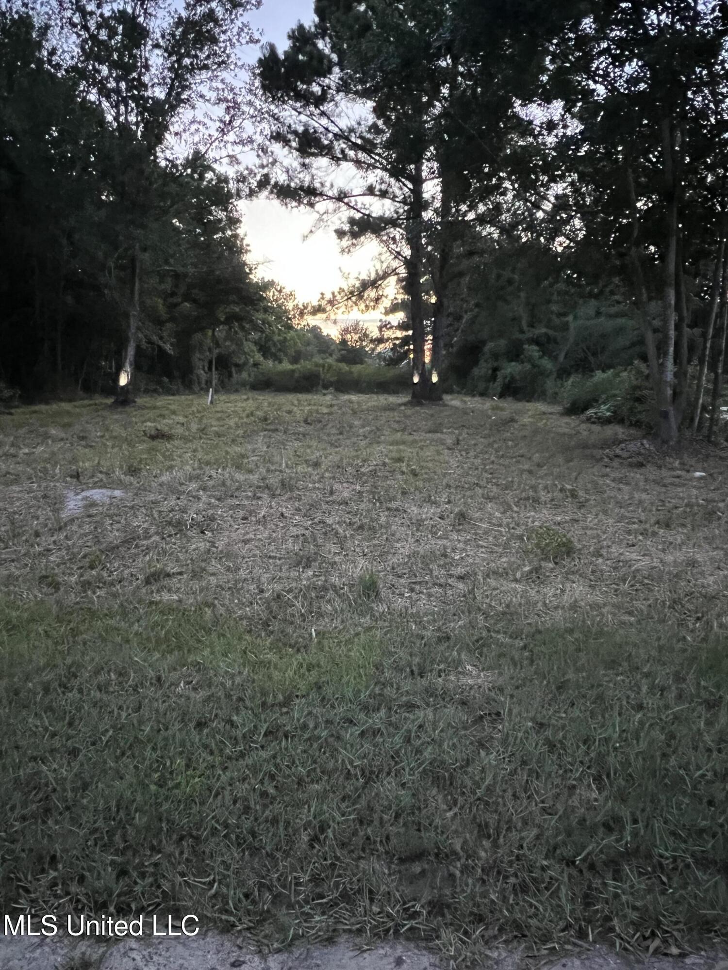 Pogo Road Property Photo 9