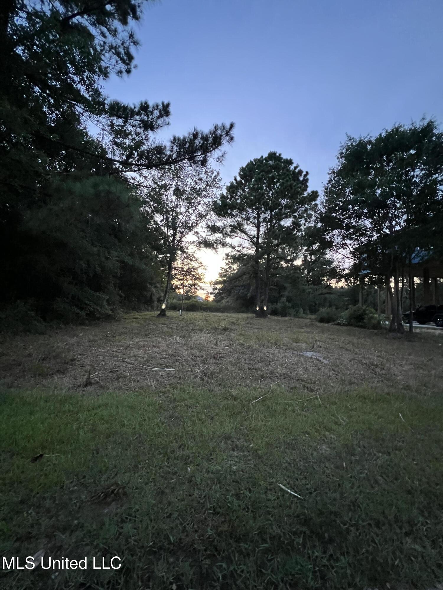 Pogo Road Property Photo 11