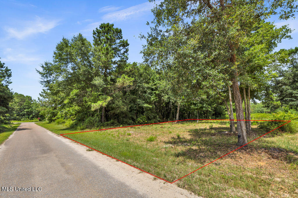 Pogo Road Property Photo 13