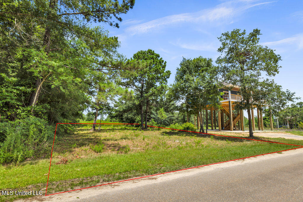 Pogo Road Property Photo 14