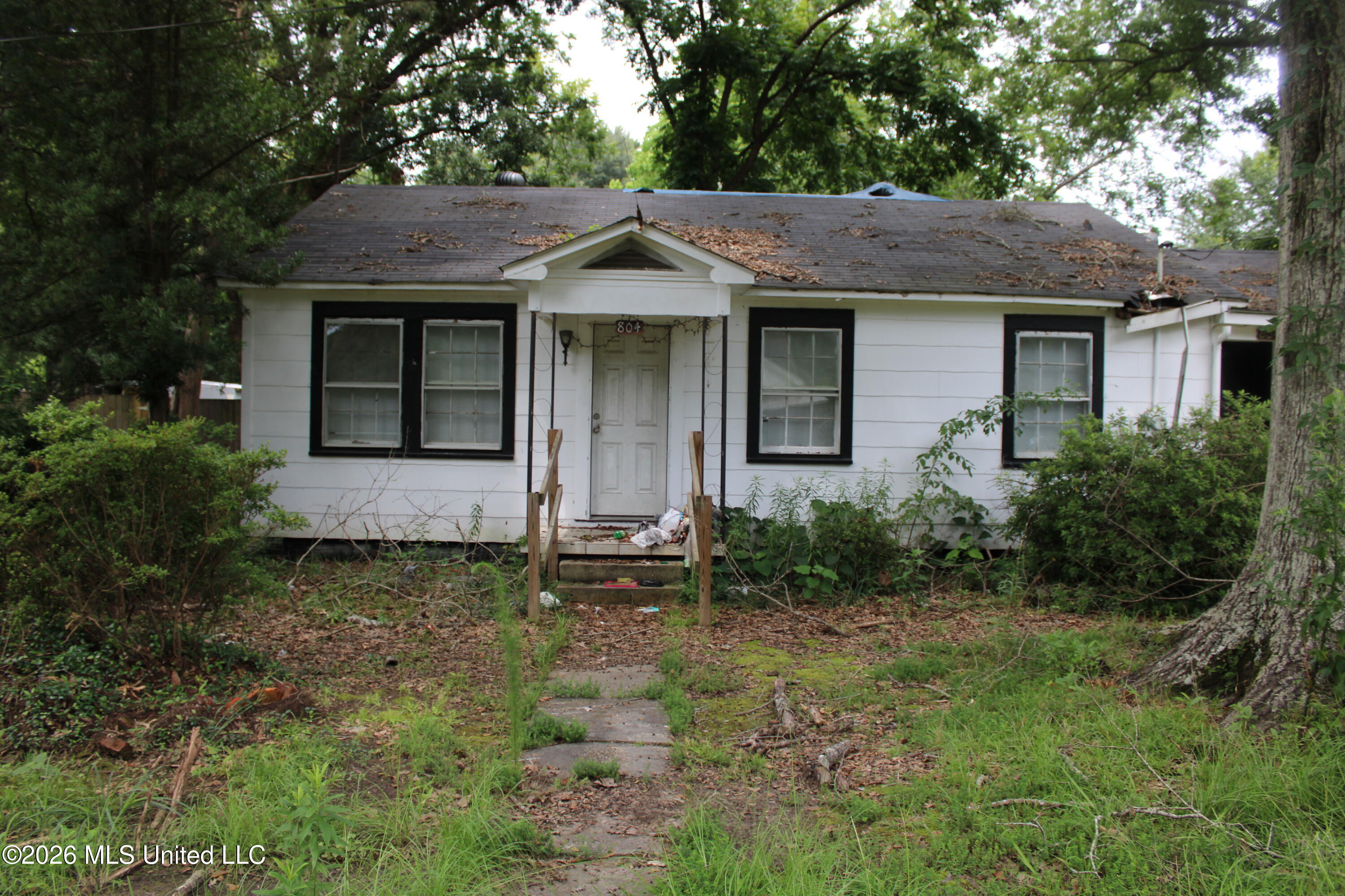 804 Lafayette Street Property Photo 1