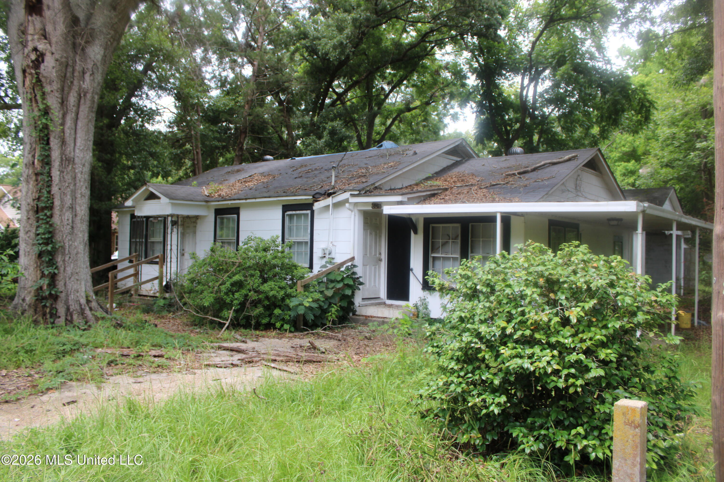 804 Lafayette Street Property Photo 2