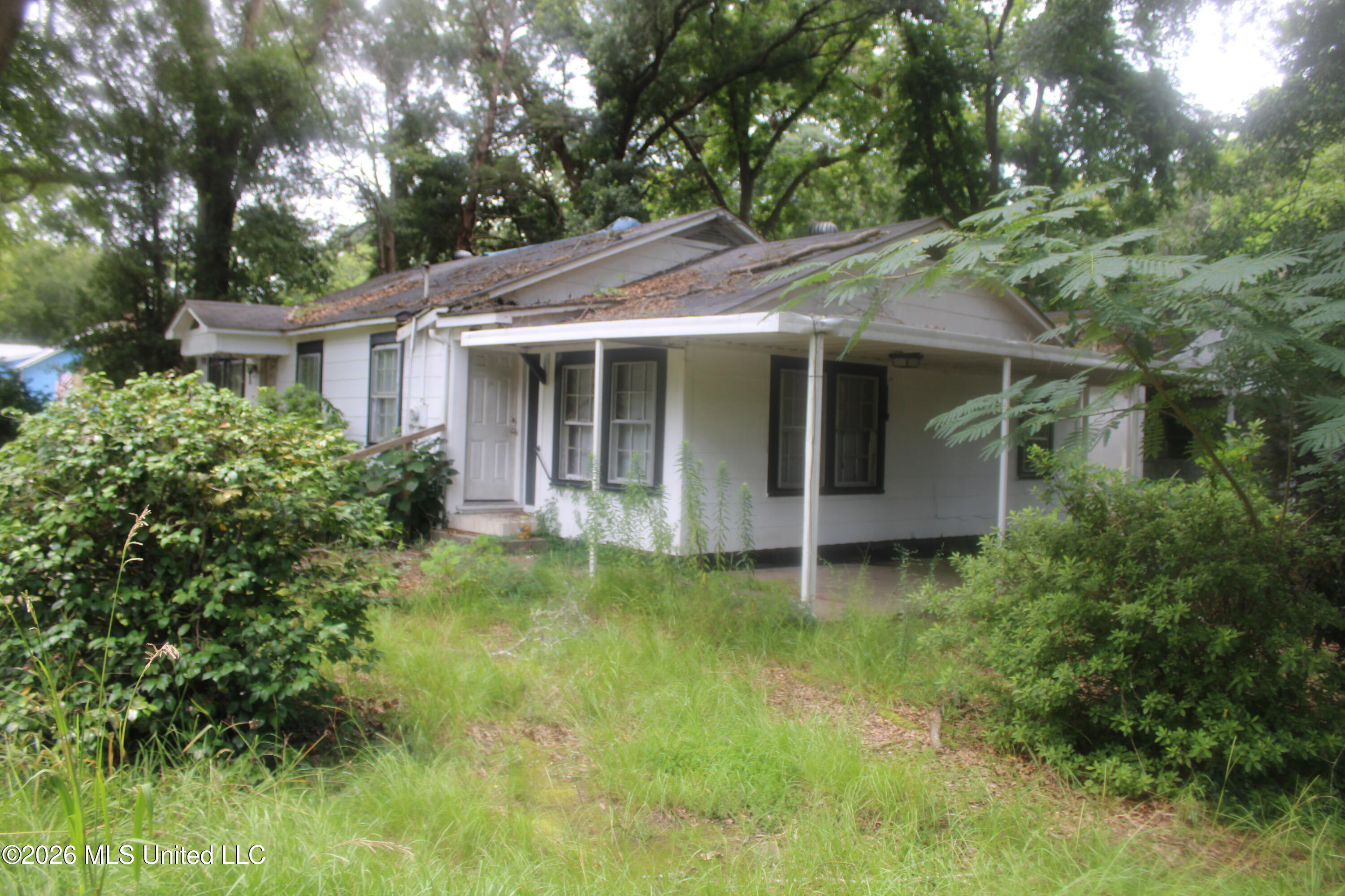 804 Lafayette Street Property Photo 3