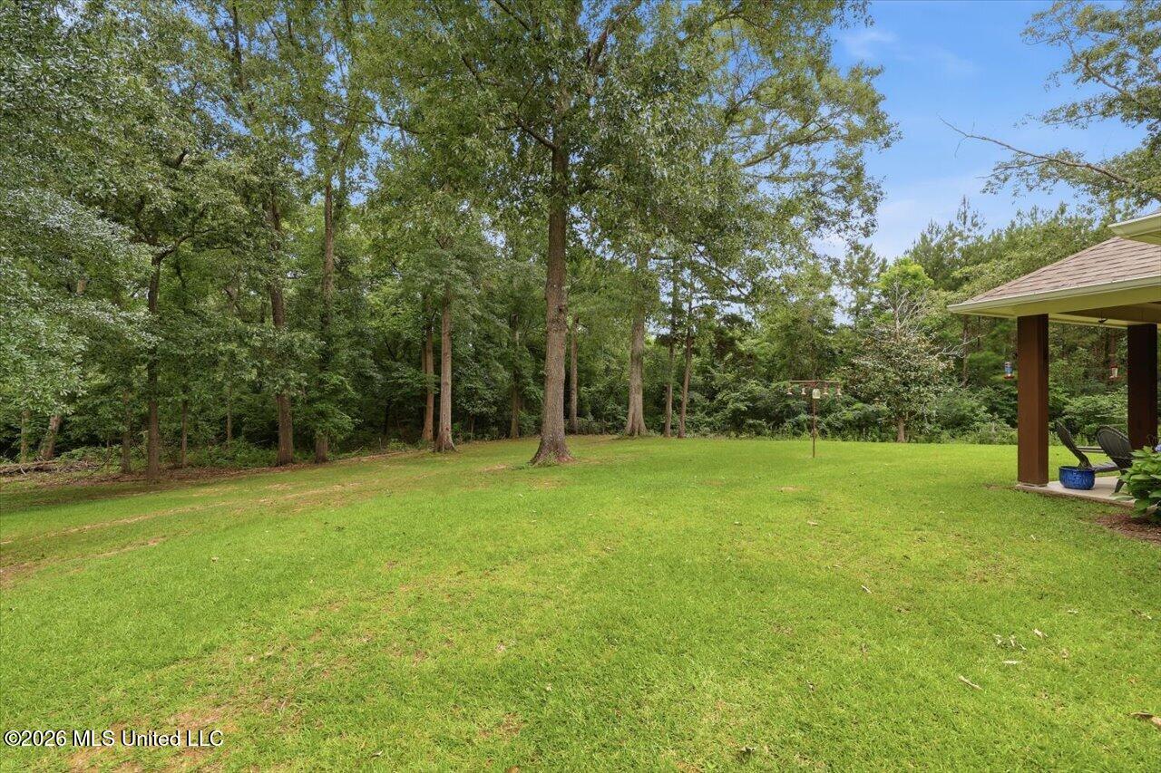 195 Allen Road Property Photo 33