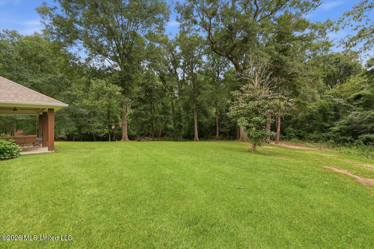 195 Allen Road Property Photo 34