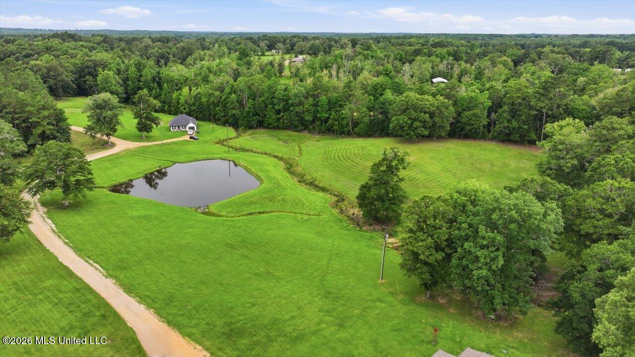 195 Allen Road Property Photo 60