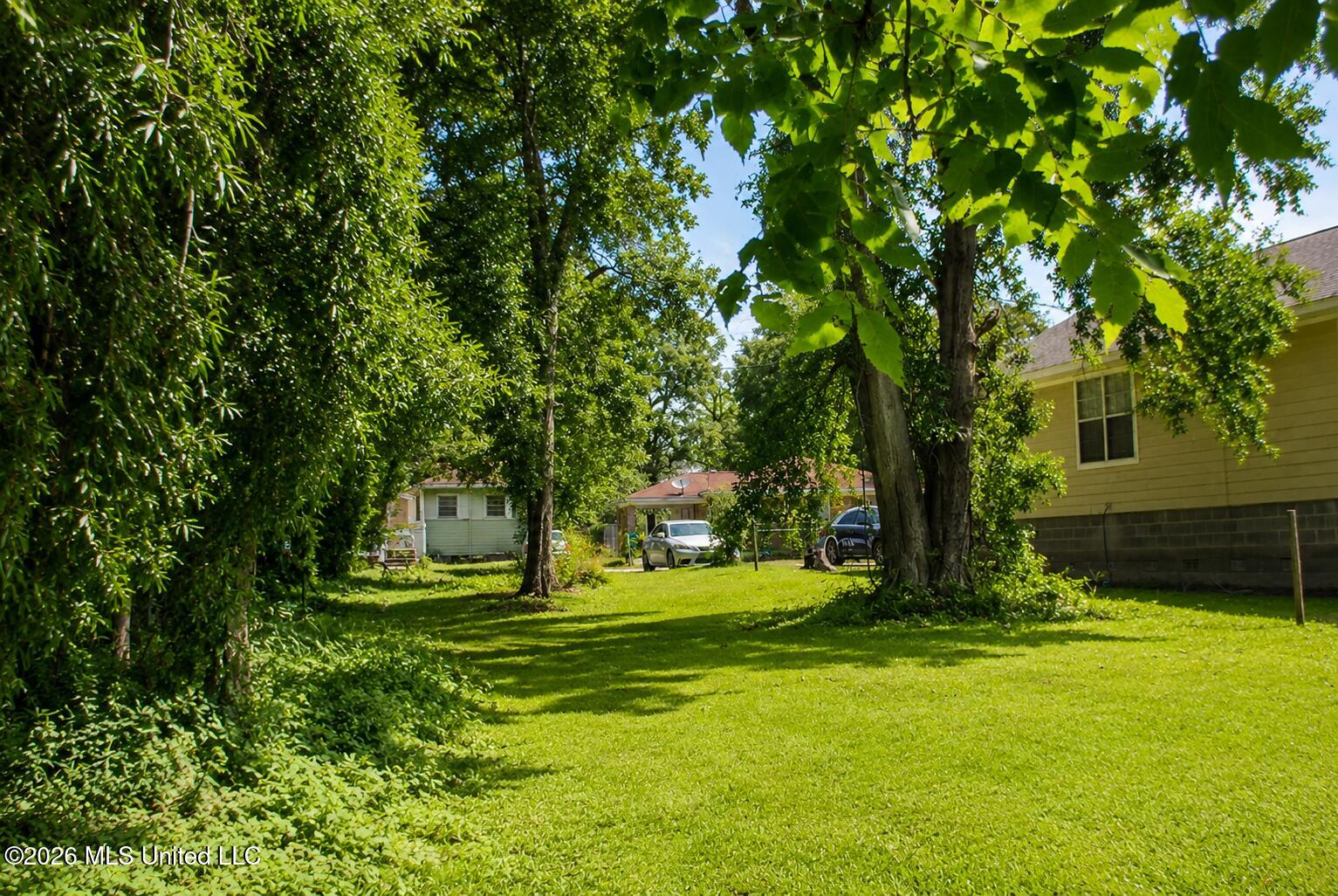1007 Tucker Avenue Property Photo 3
