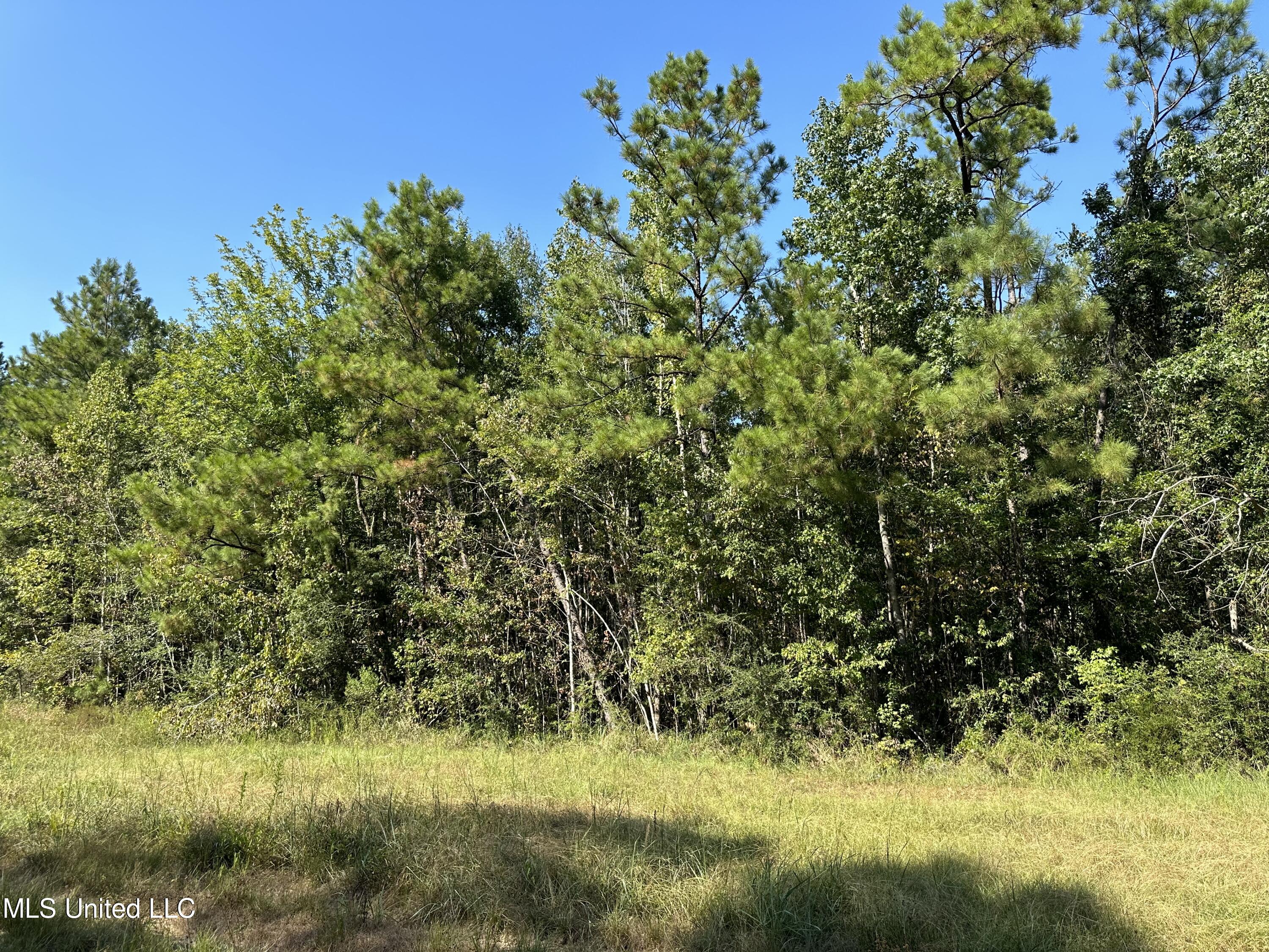 92.4 Acres Crossroads Merrill Rd. Property Photo 1