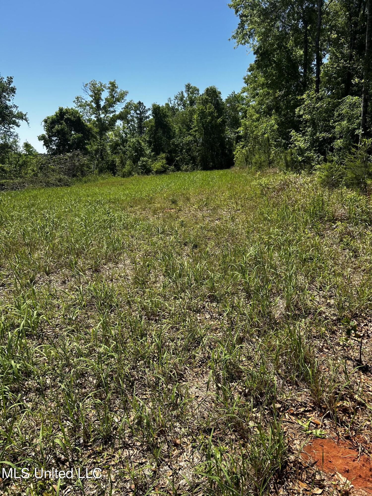 92.4 Acres Crossroads Merrill Rd. Property Photo 2