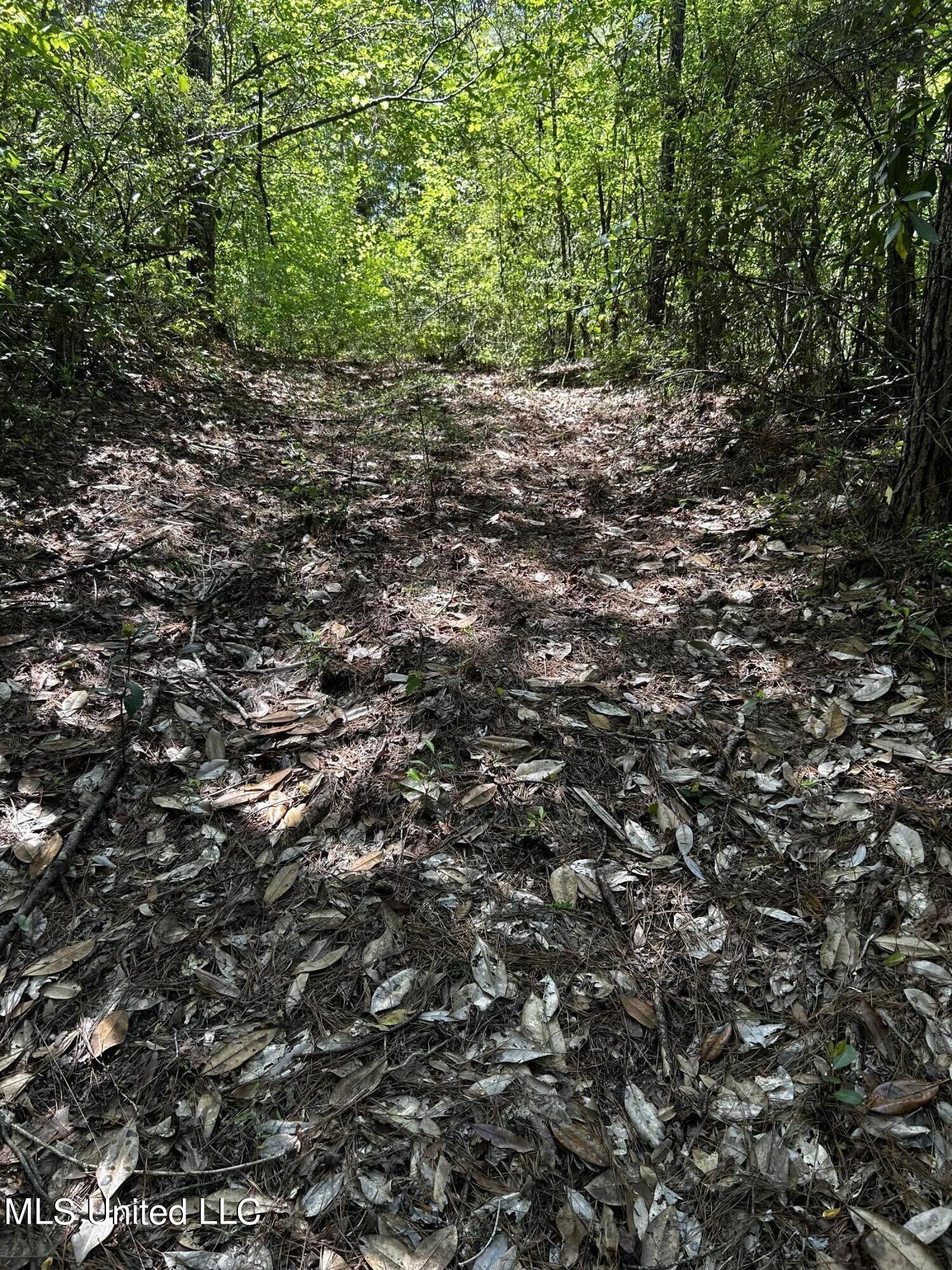 92.4 Acres Crossroads Merrill Rd. Property Photo 3