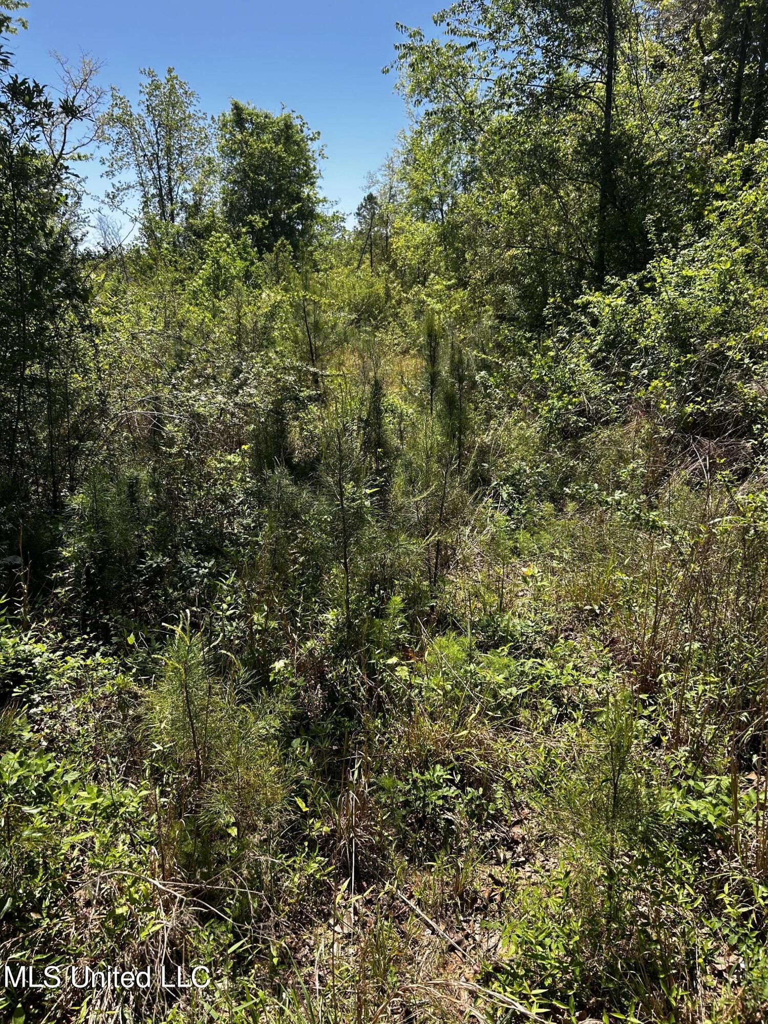 92.4 Acres Crossroads Merrill Rd. Property Photo 6