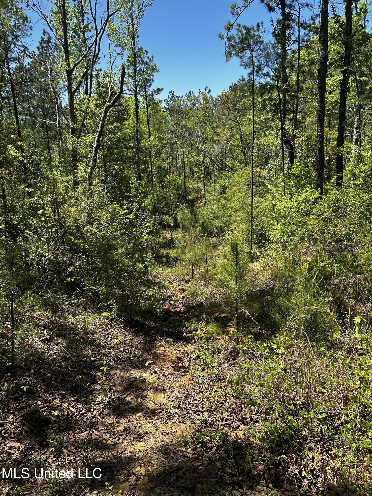 92.4 Acres Crossroads Merrill Rd. Property Photo 7