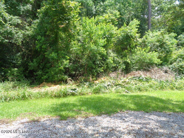 Wayne Lane Property Photo 1