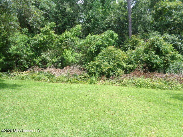 Wayne Lane Property Photo 3