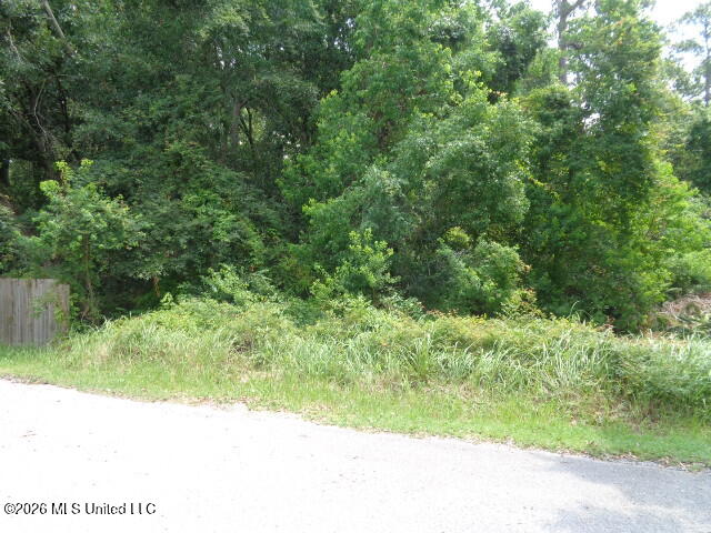 Wayne Lane Property Photo 4