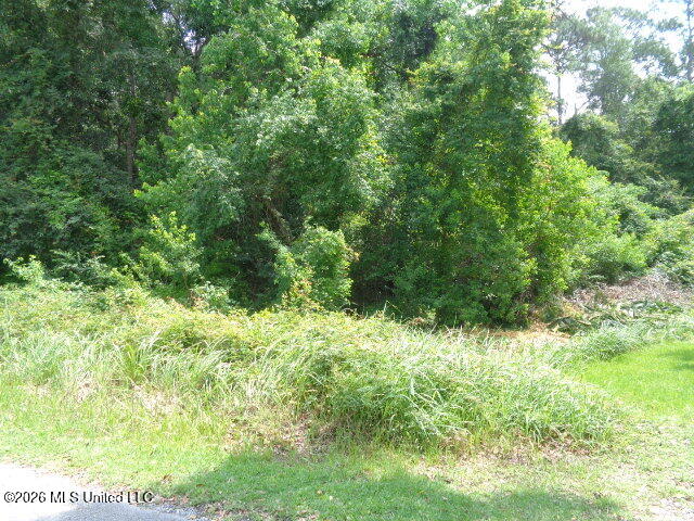 Wayne Lane Property Photo 5