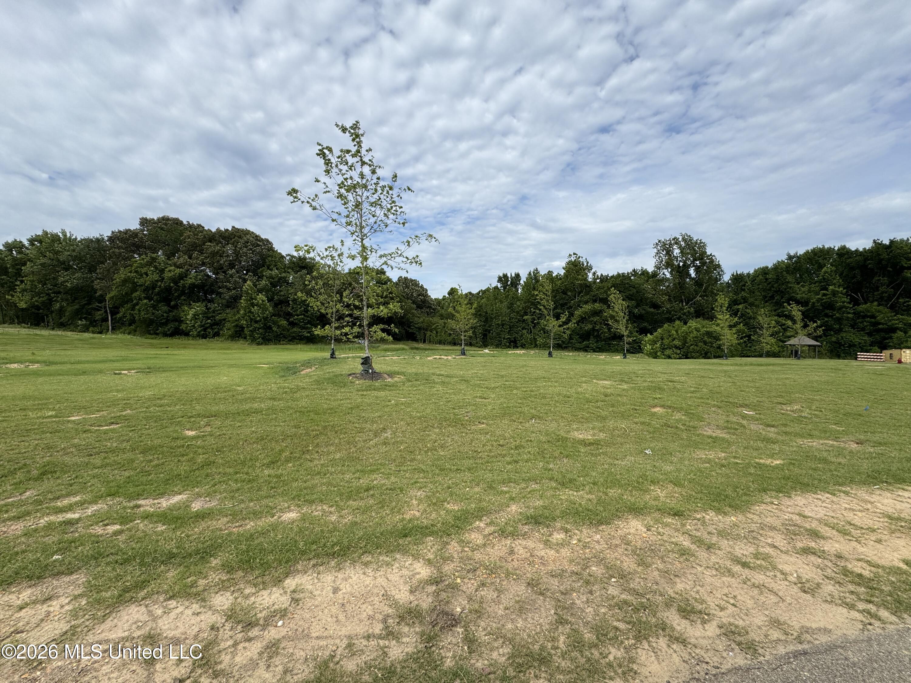 7398 Newbury Drive Property Photo 28