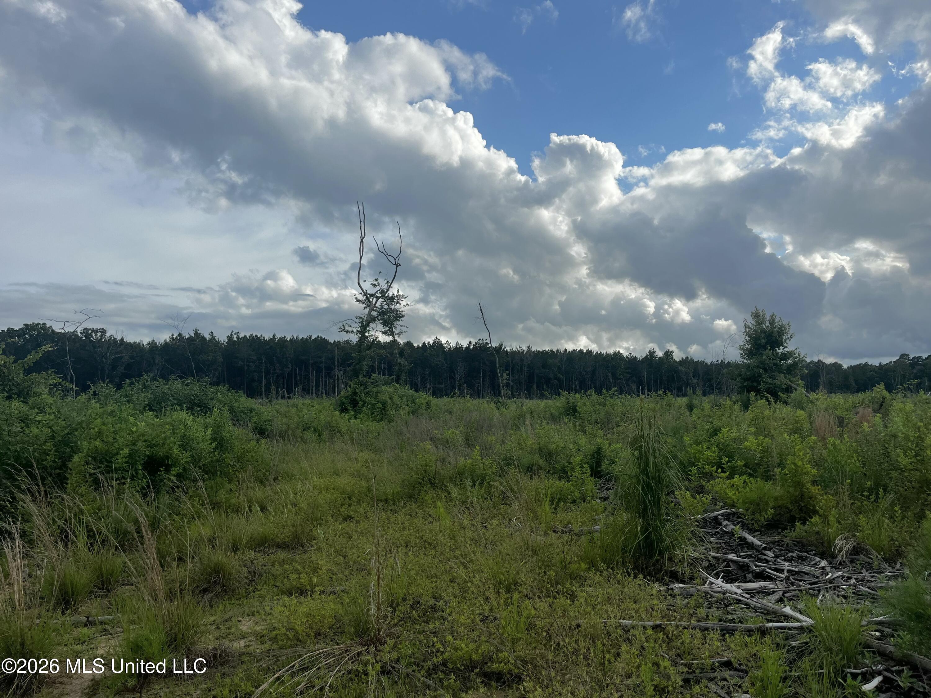 Seals Road Property Photo 6