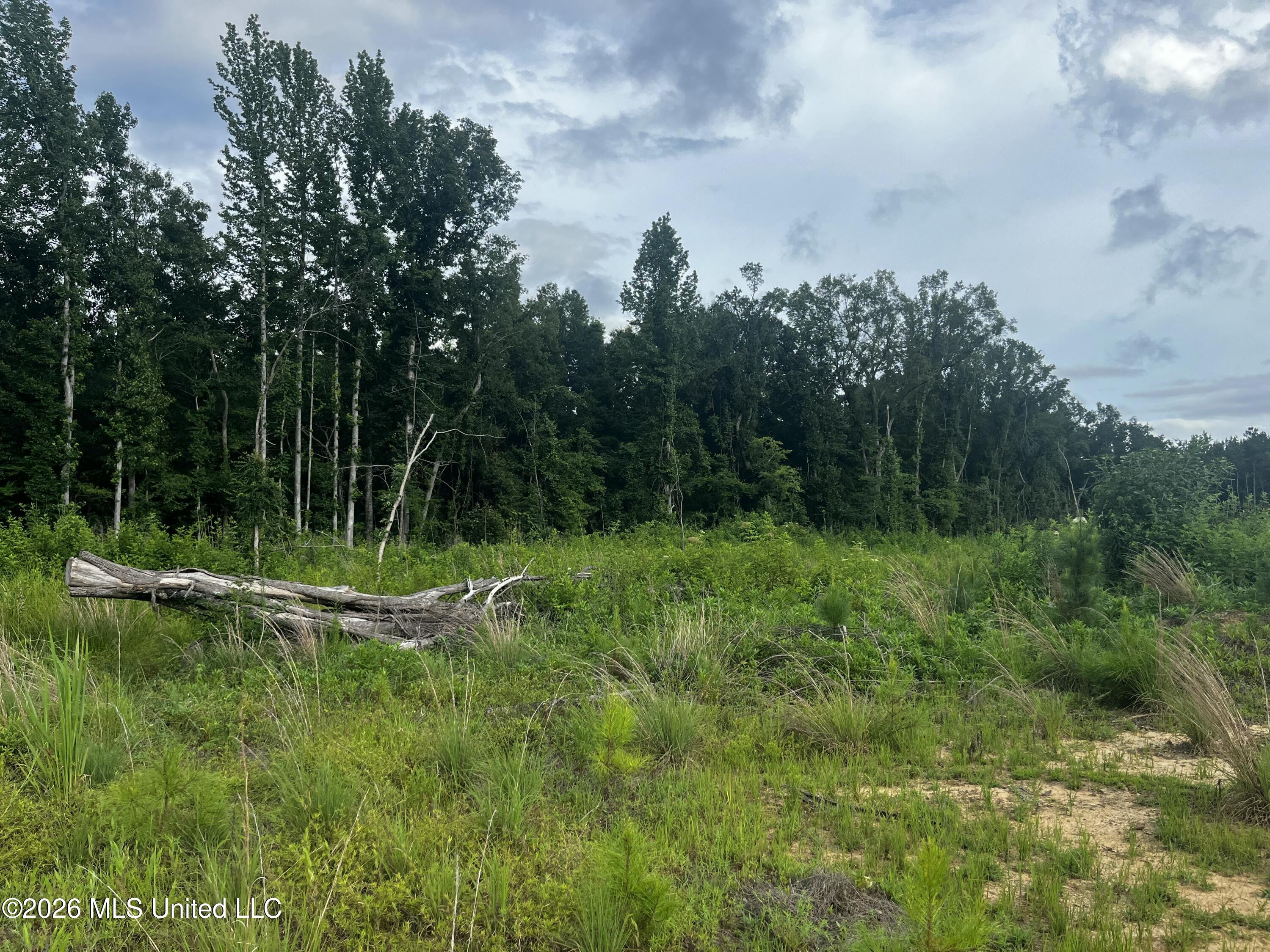 Seals Road Property Photo 7