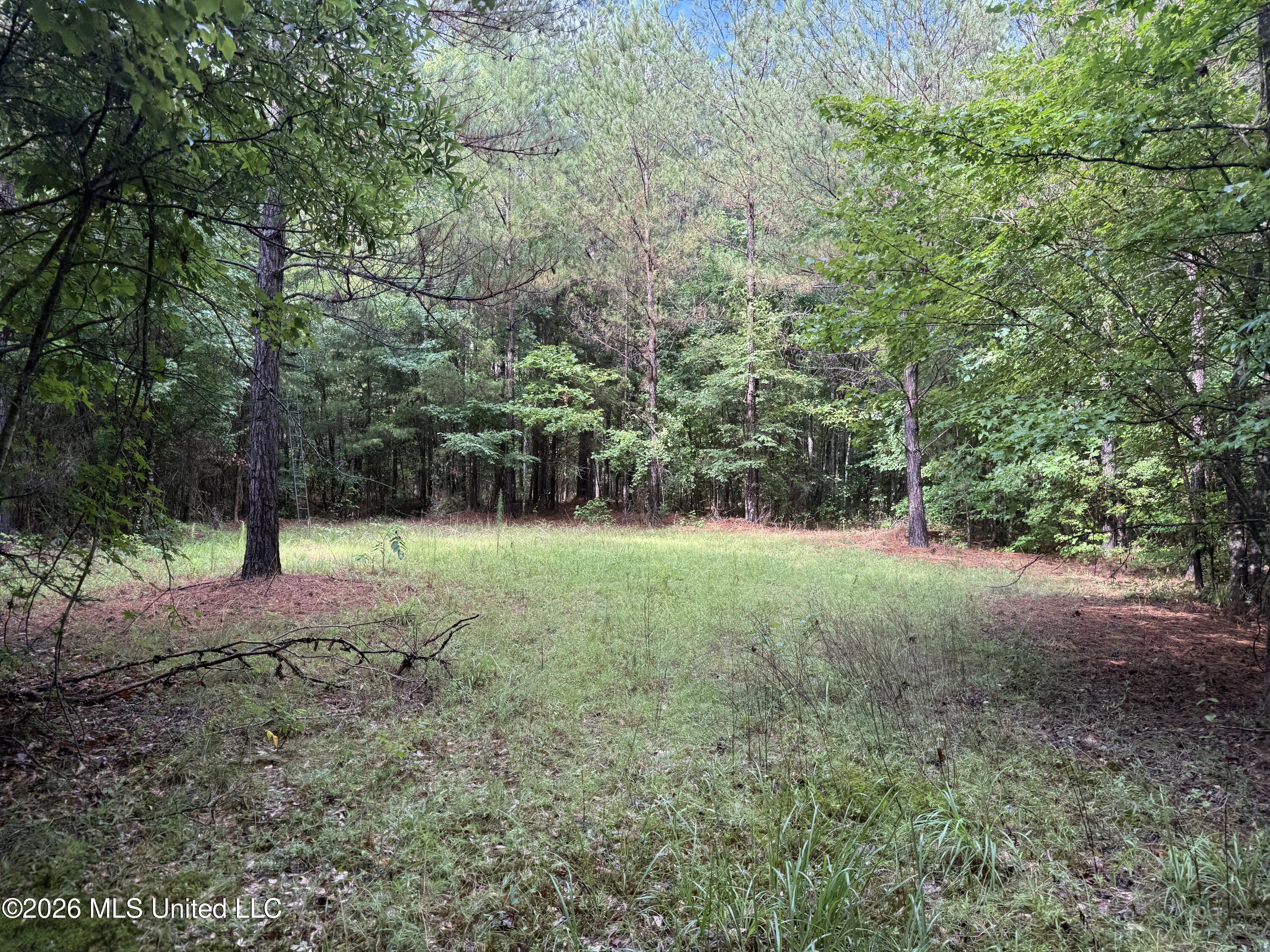 Co Rd 2136 Property Photo 10