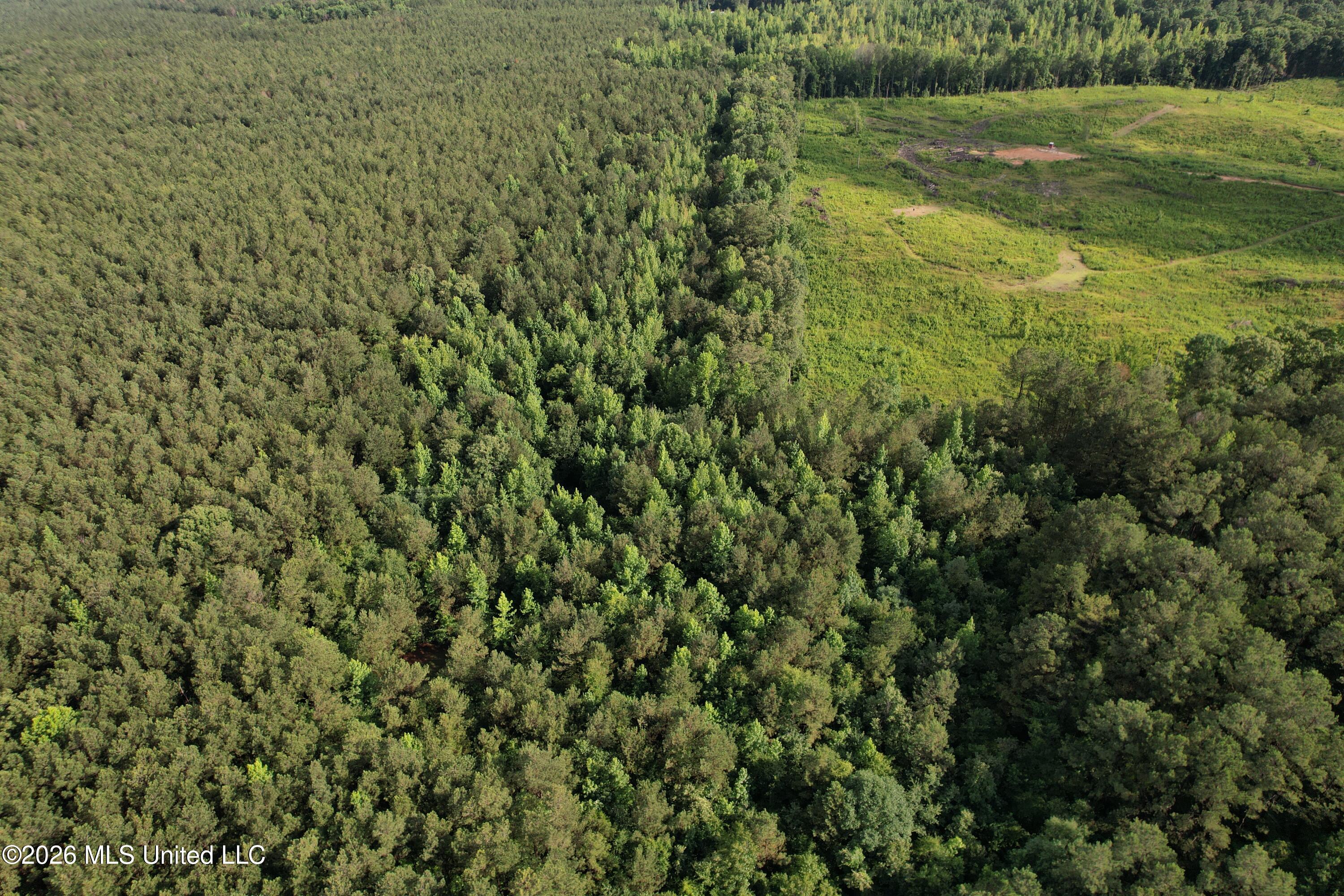 Co Rd 2136 Property Photo 23