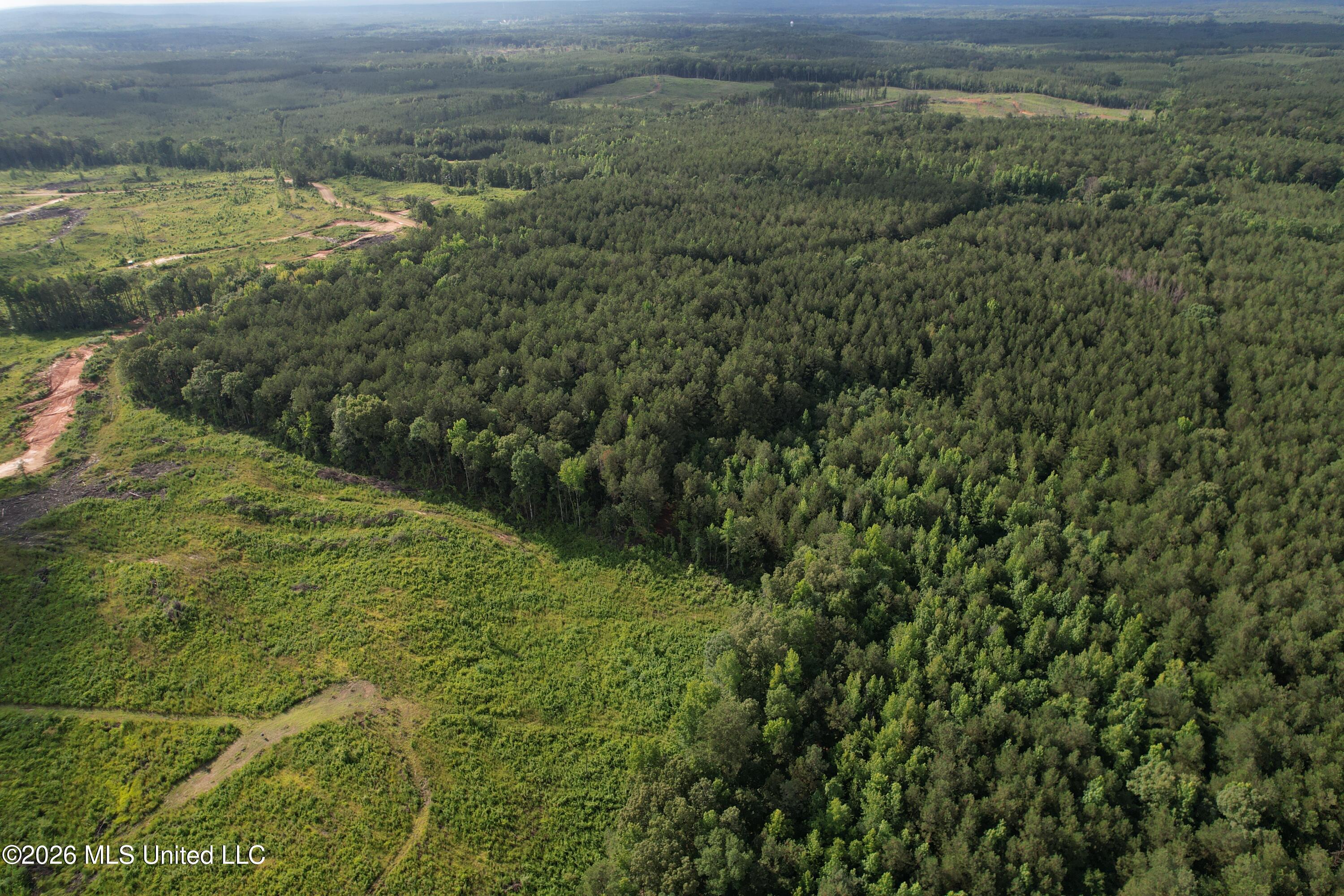 Co Rd 2136 Property Photo 24