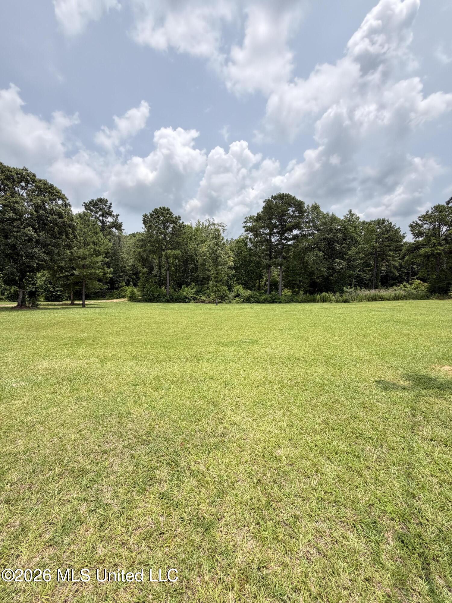 1123 Joel Lang Road Property Photo 6
