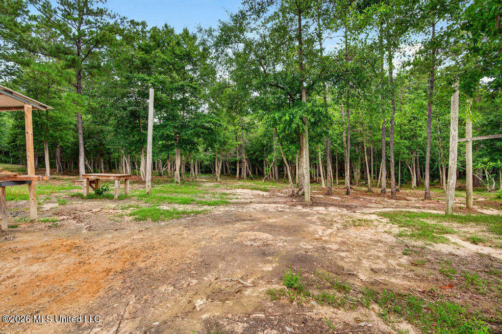 94 Desoto Road Property Photo 21