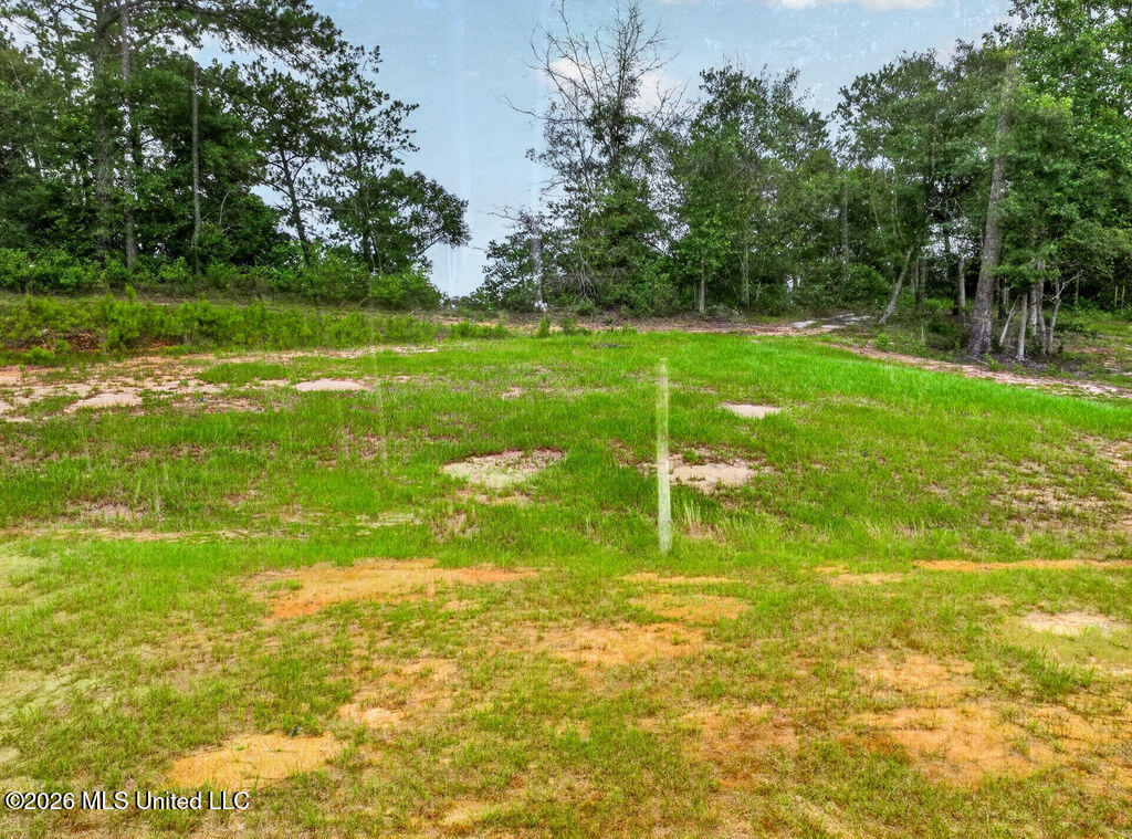 94 Desoto Road Property Photo 35