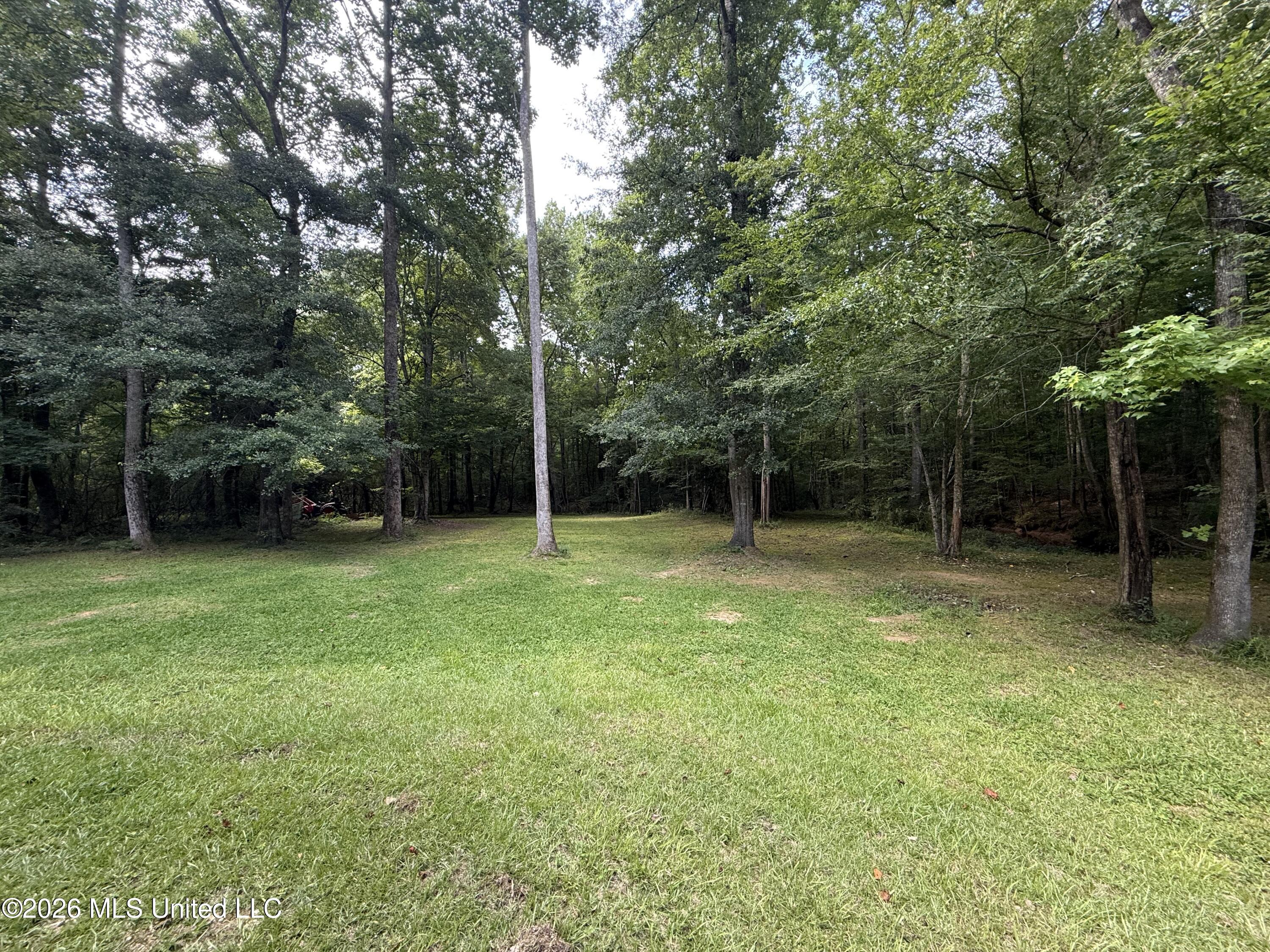 1167 Todd Road Property Photo 30
