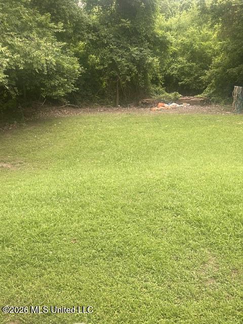 1418 Ray Street Property Photo 13