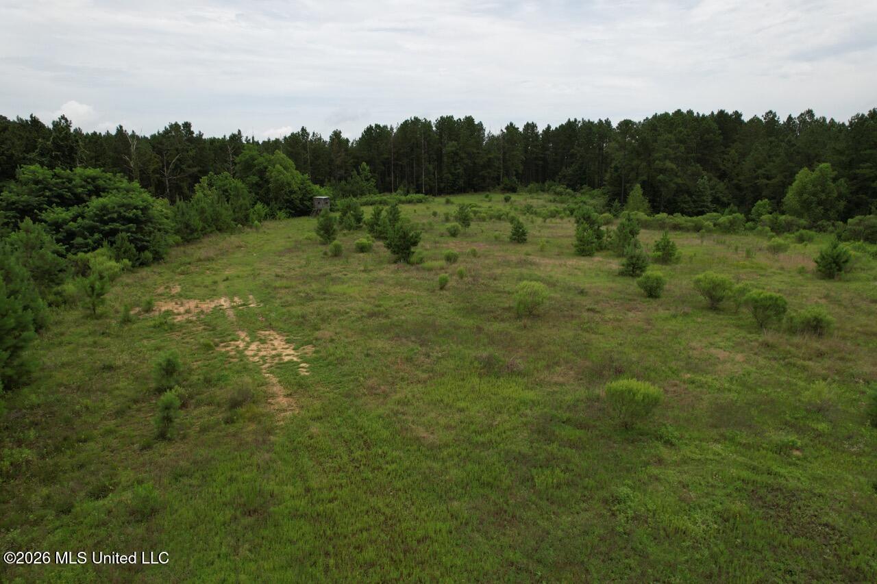 2684 Ms 33 Property Photo 8