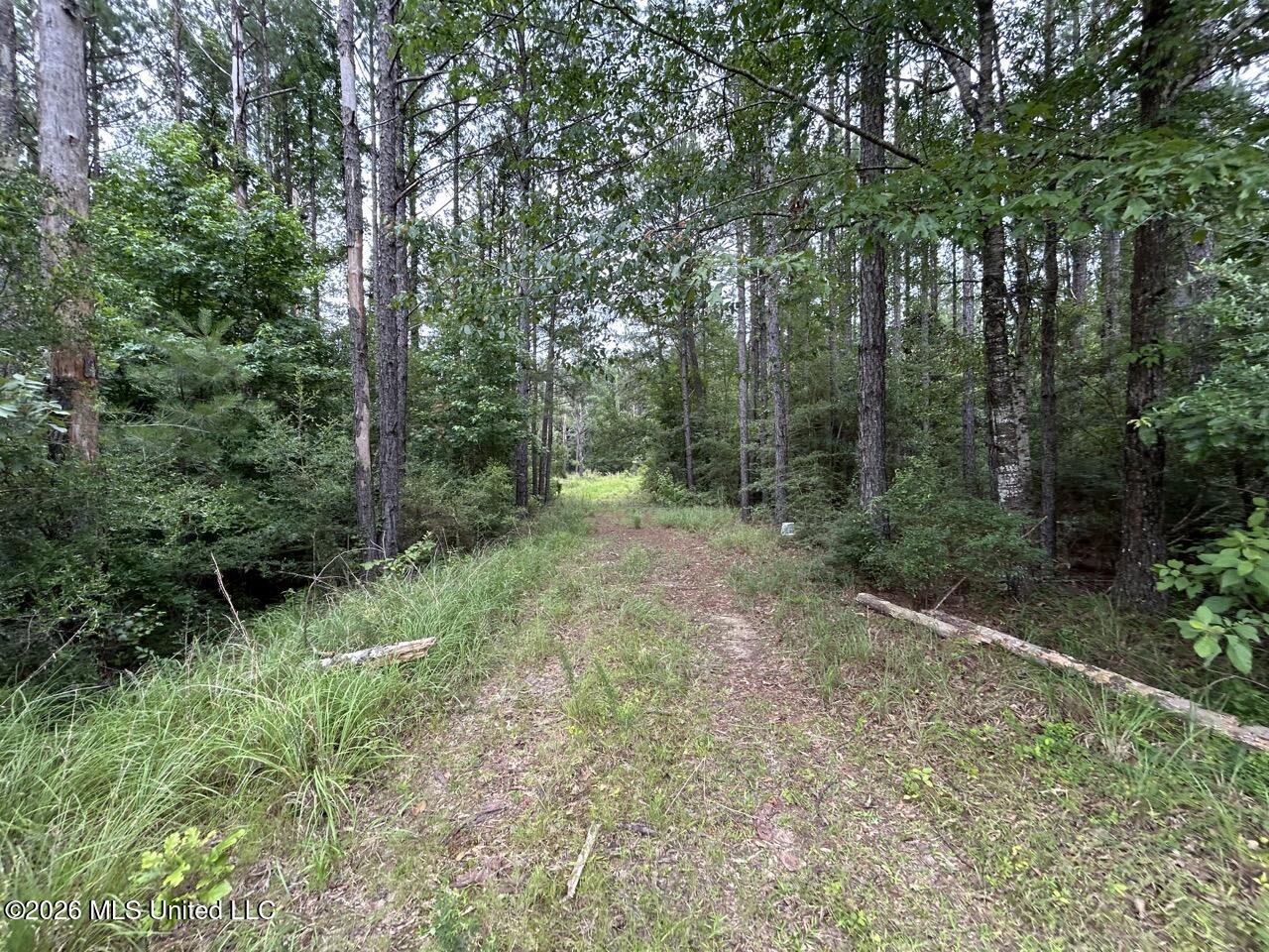 2684 Ms 33 Property Photo 16