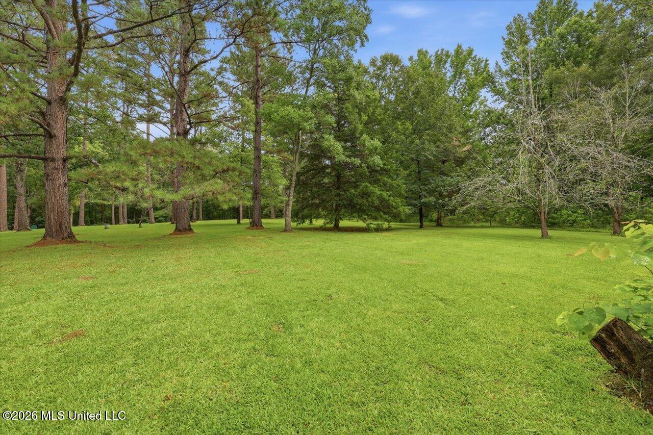 2141 Mcfarland Road Property Photo 37