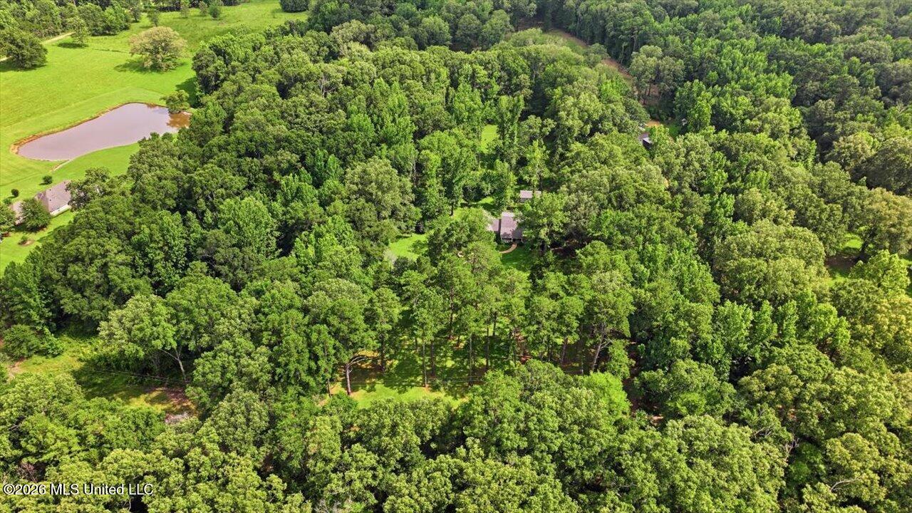 2141 Mcfarland Road Property Photo 64