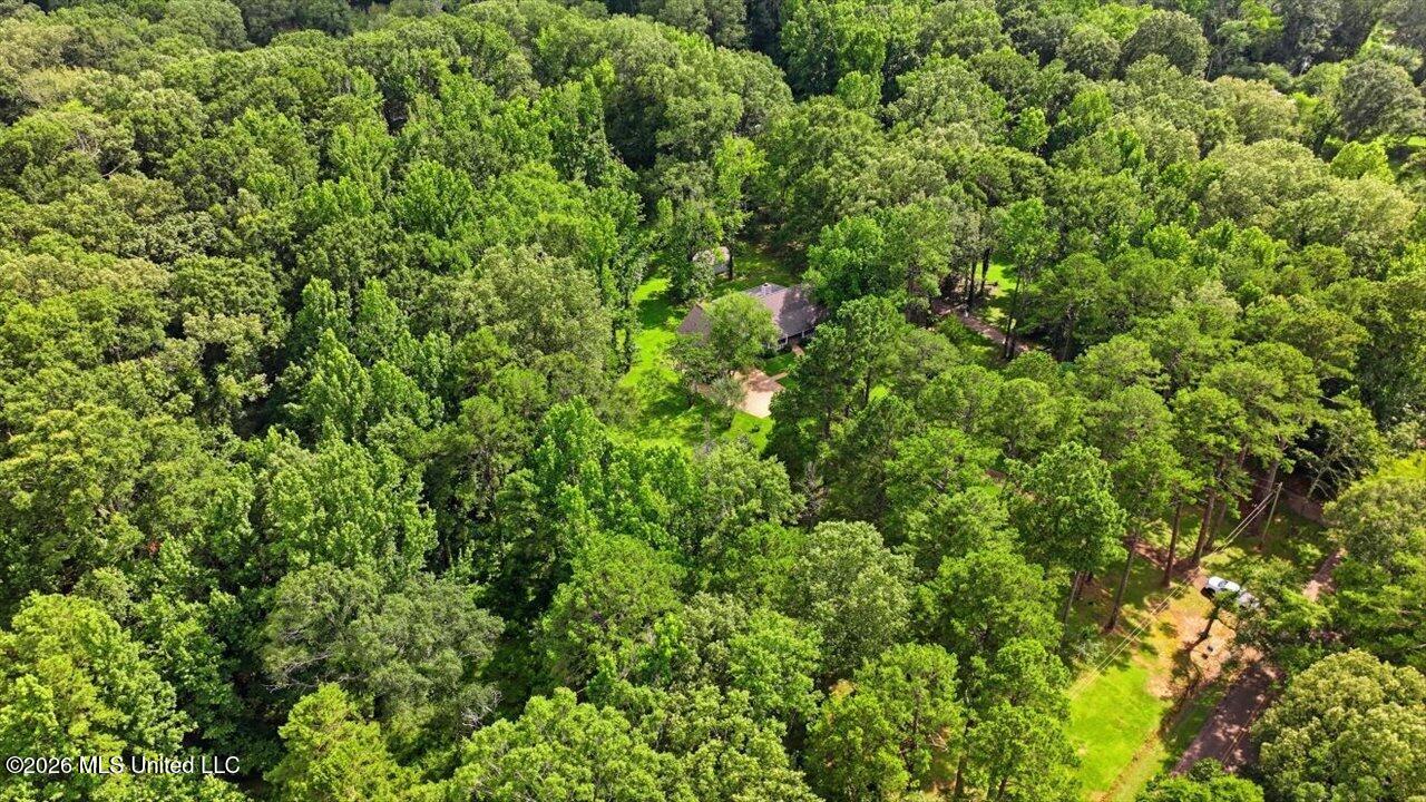 2141 Mcfarland Road Property Photo 65