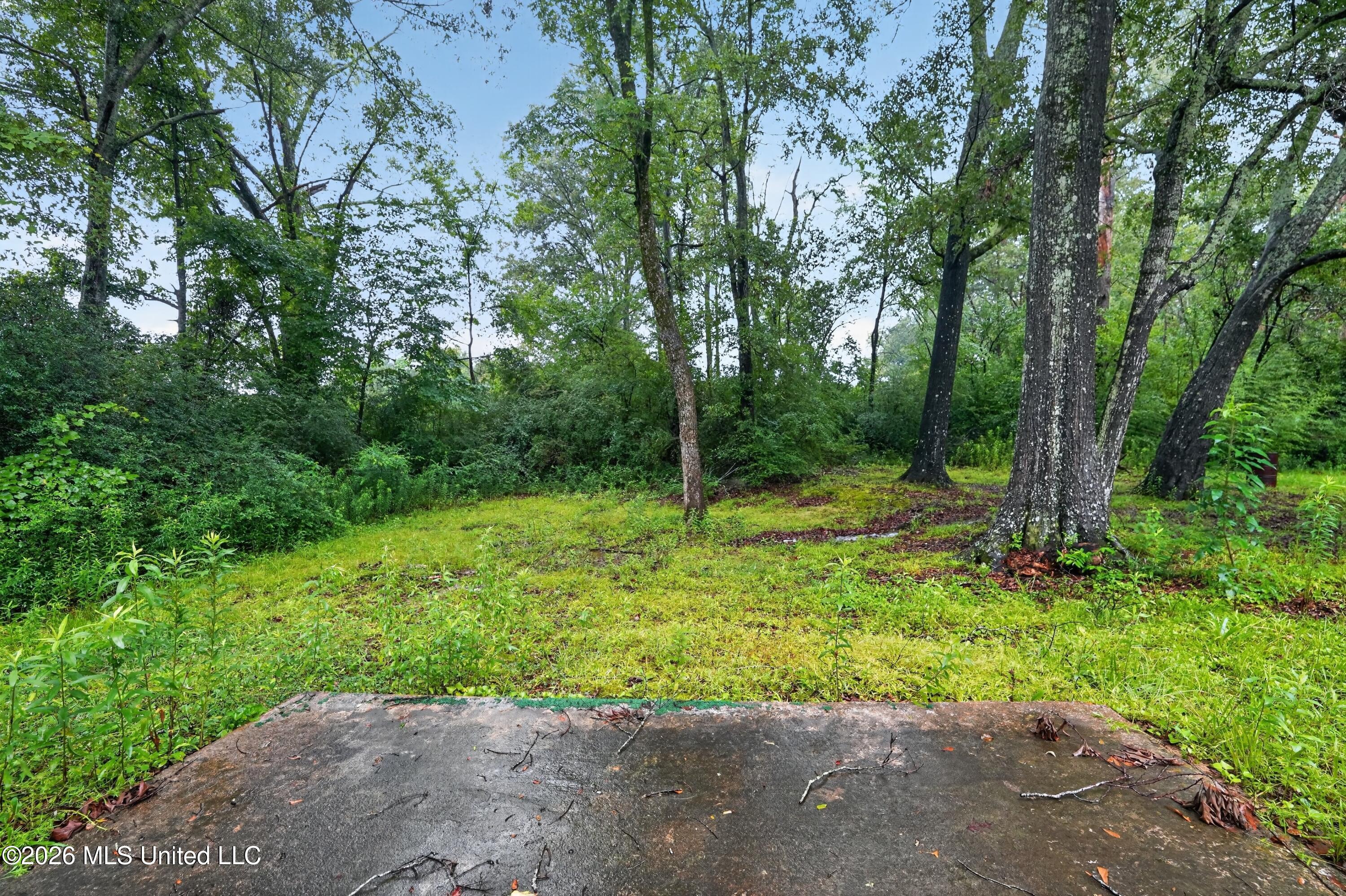 4525 Whitehaven Drive Property Photo 3