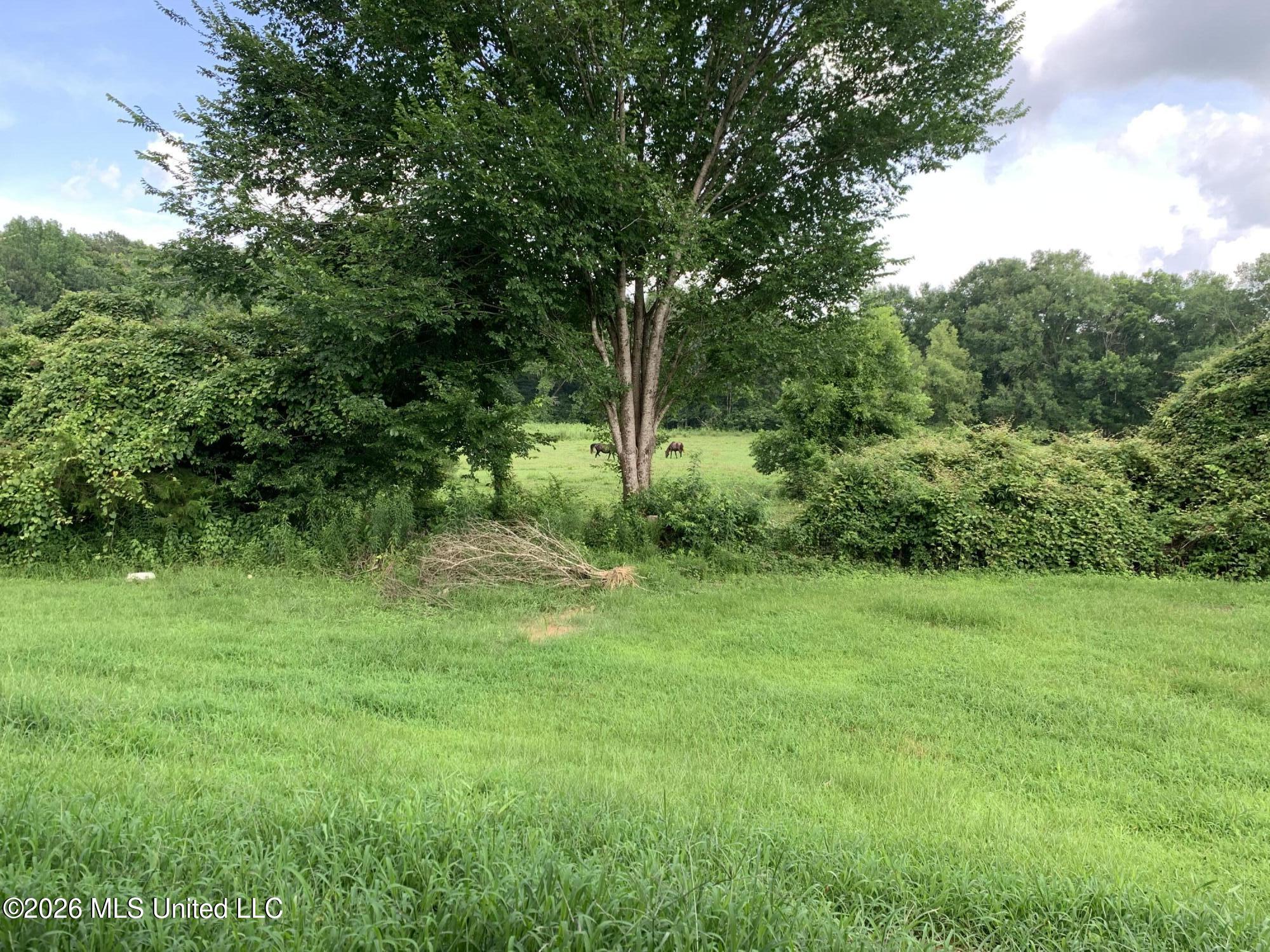 2117 Percy Davis Road Property Photo 27