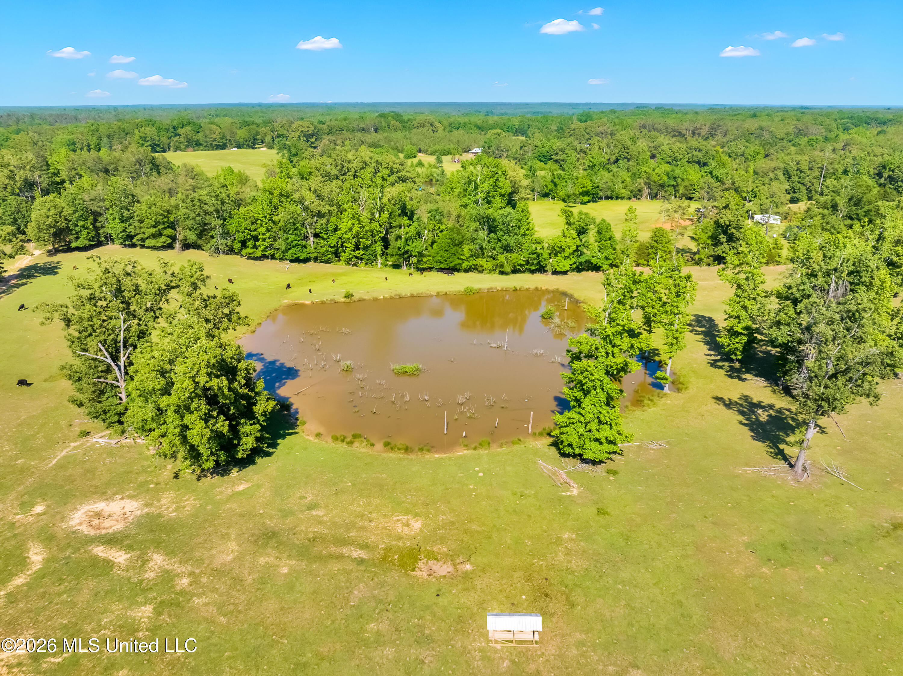 530 Ms-15 Property Photo 74
