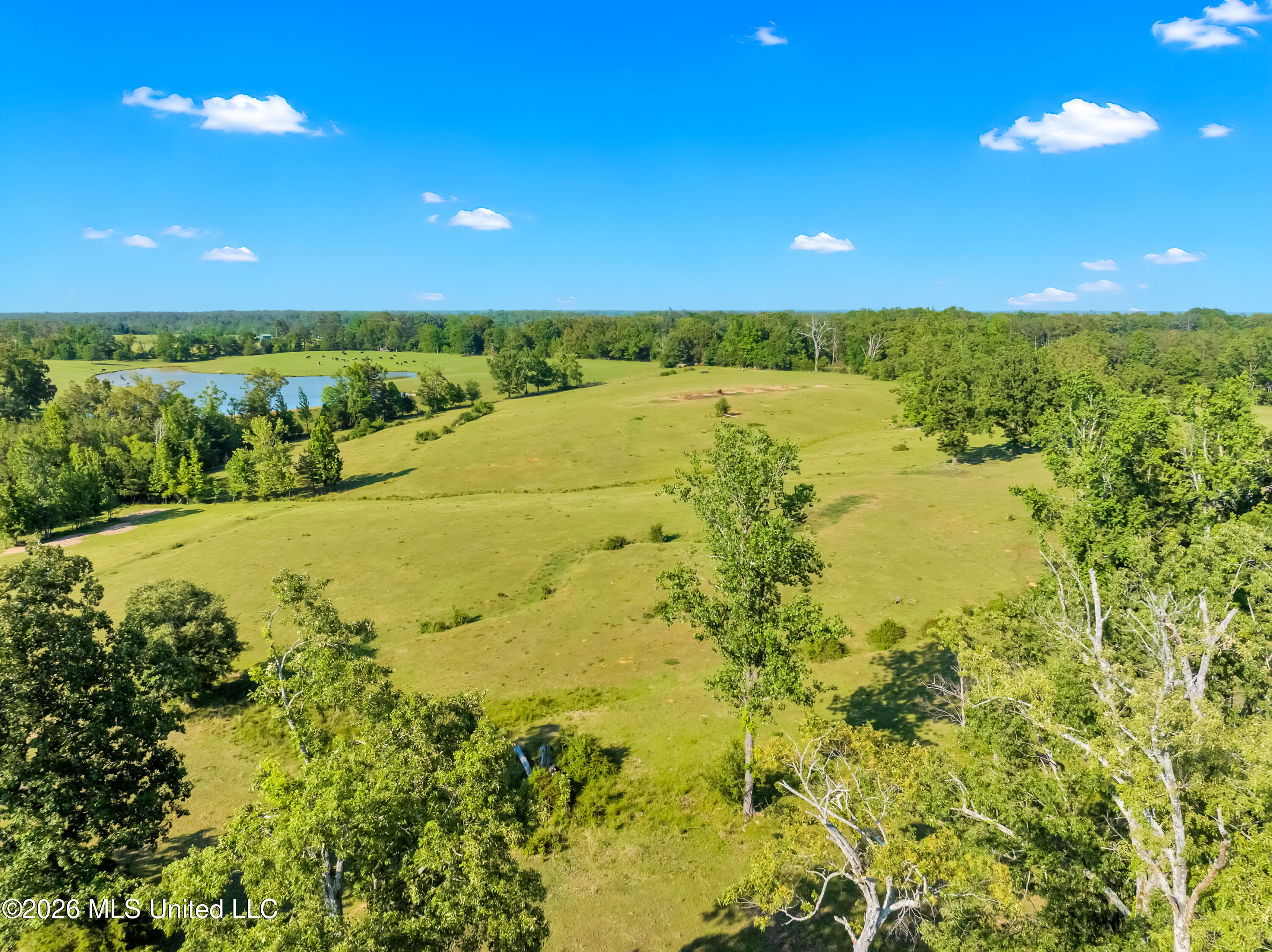 530 Ms-15 Property Photo 80