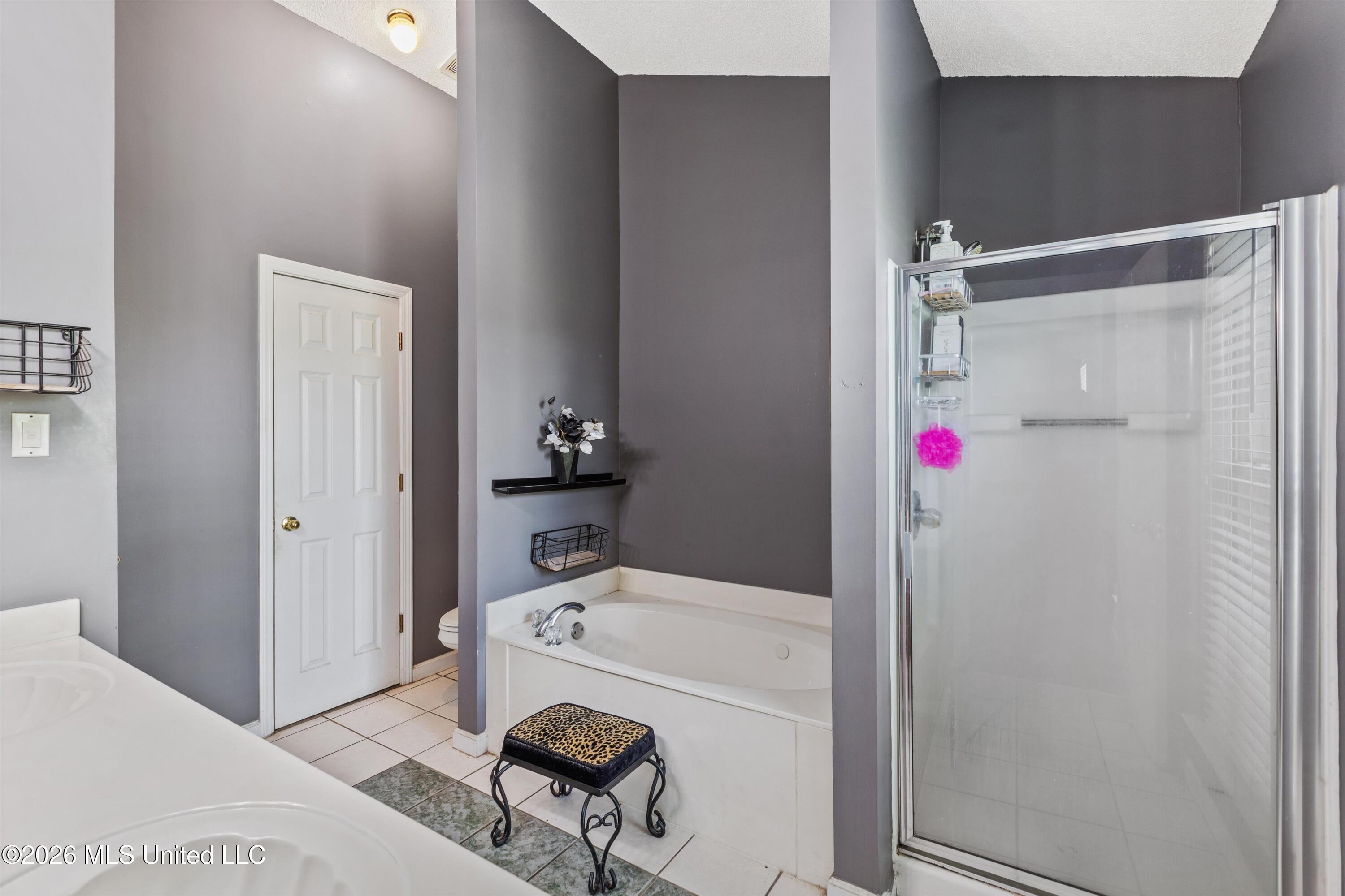 6108 Magnolia Lakes Drive Property Photo 16