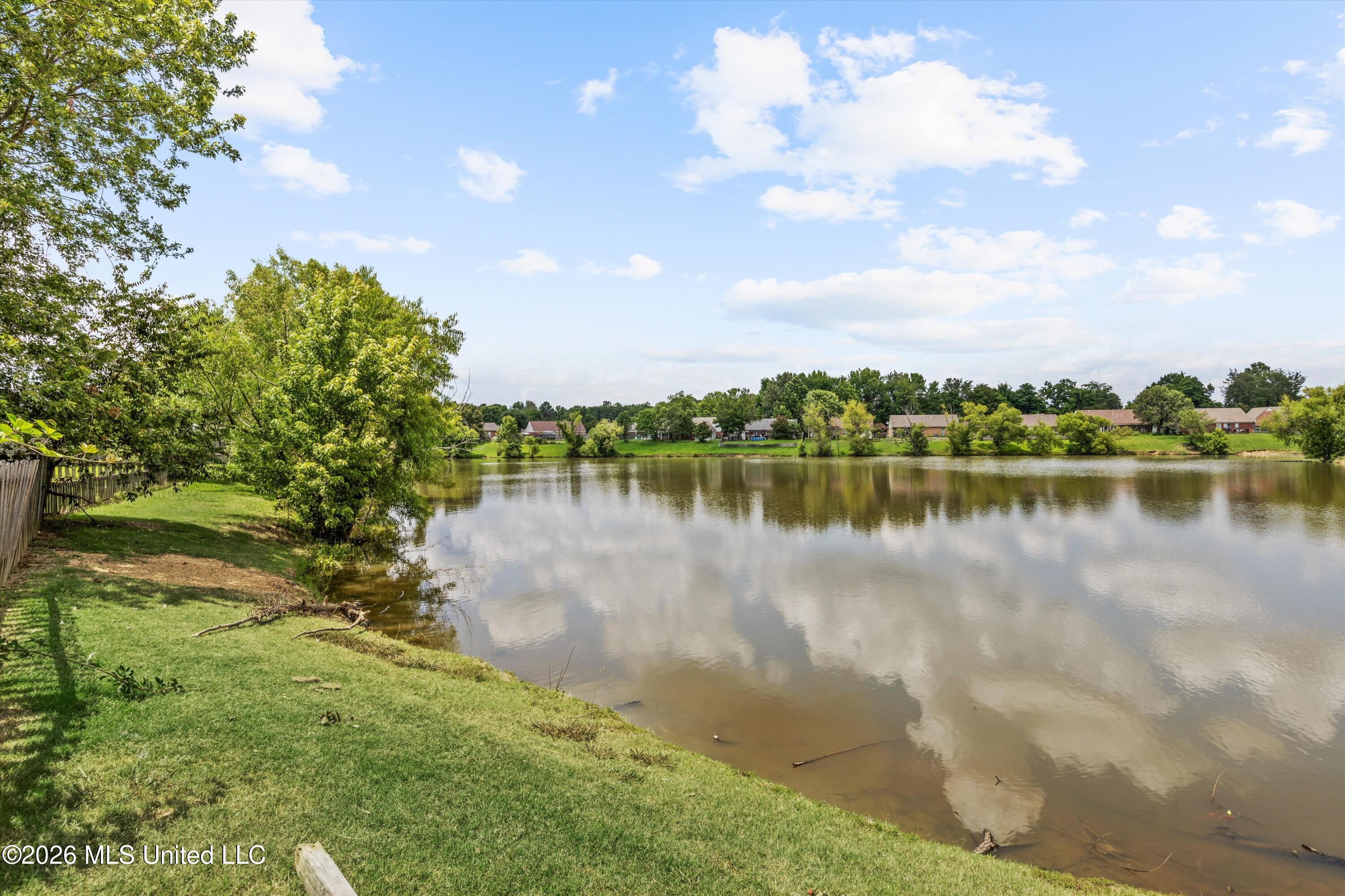6108 Magnolia Lakes Drive Property Photo 25
