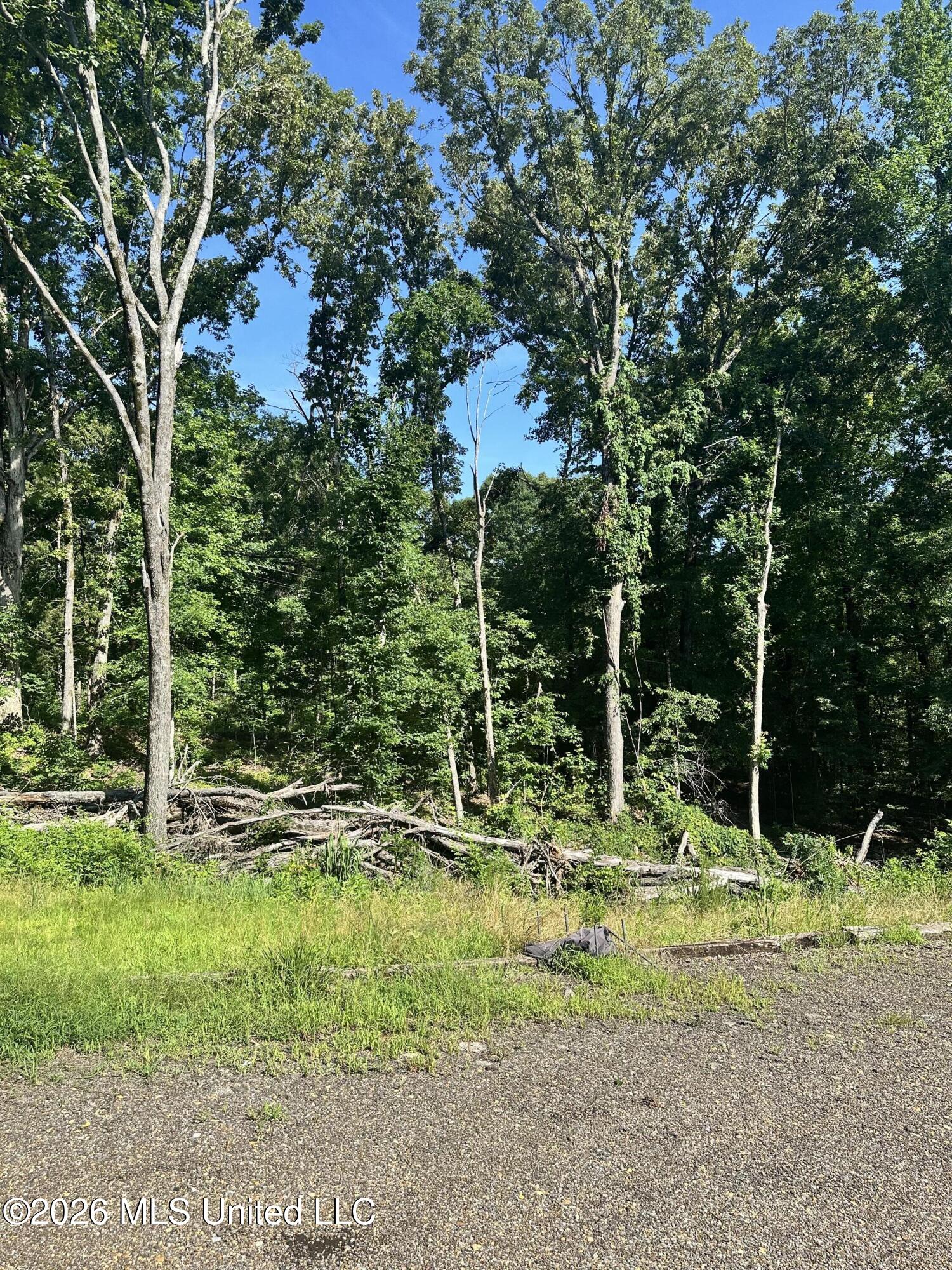 130 Kimes Cove Property Photo 1