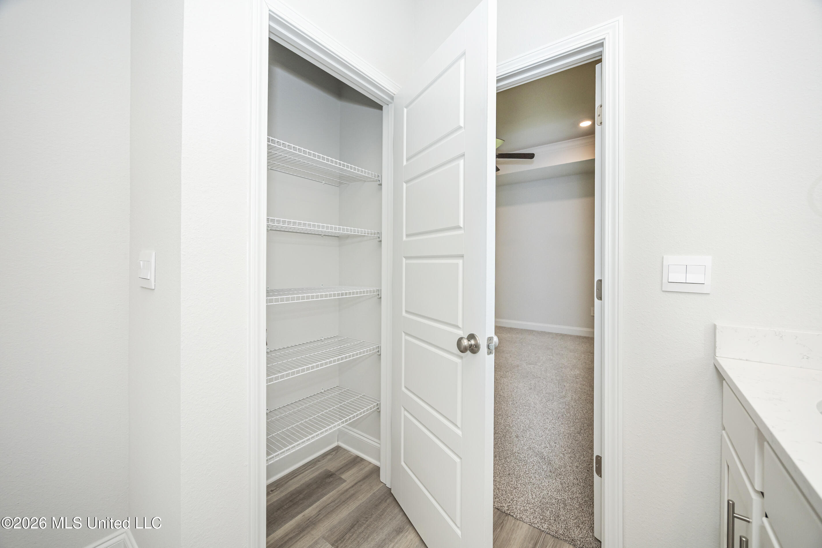 15381 Dandelion Drive Property Photo 47