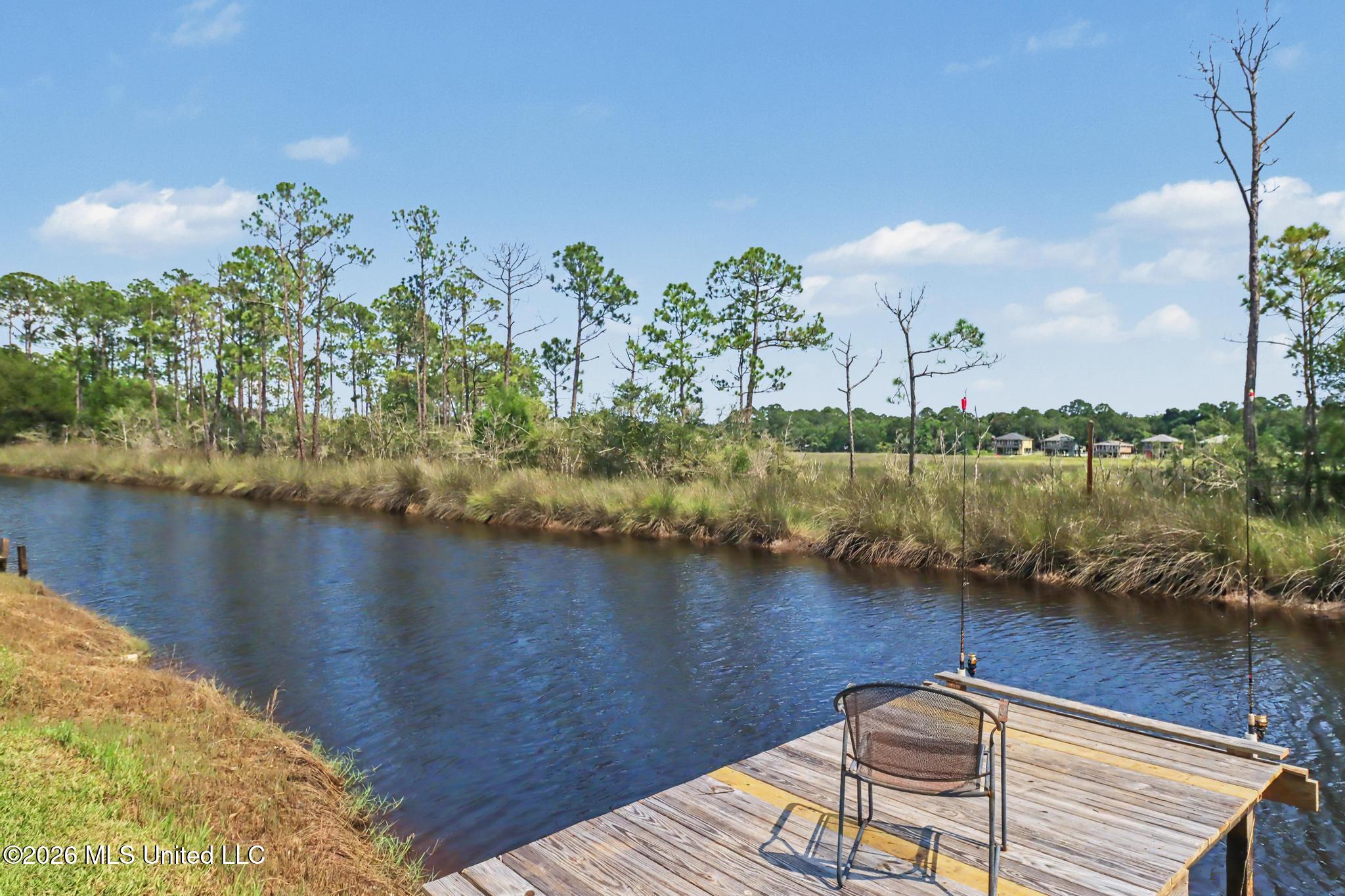 8821 Pickering Forrest Drive Property Photo 4