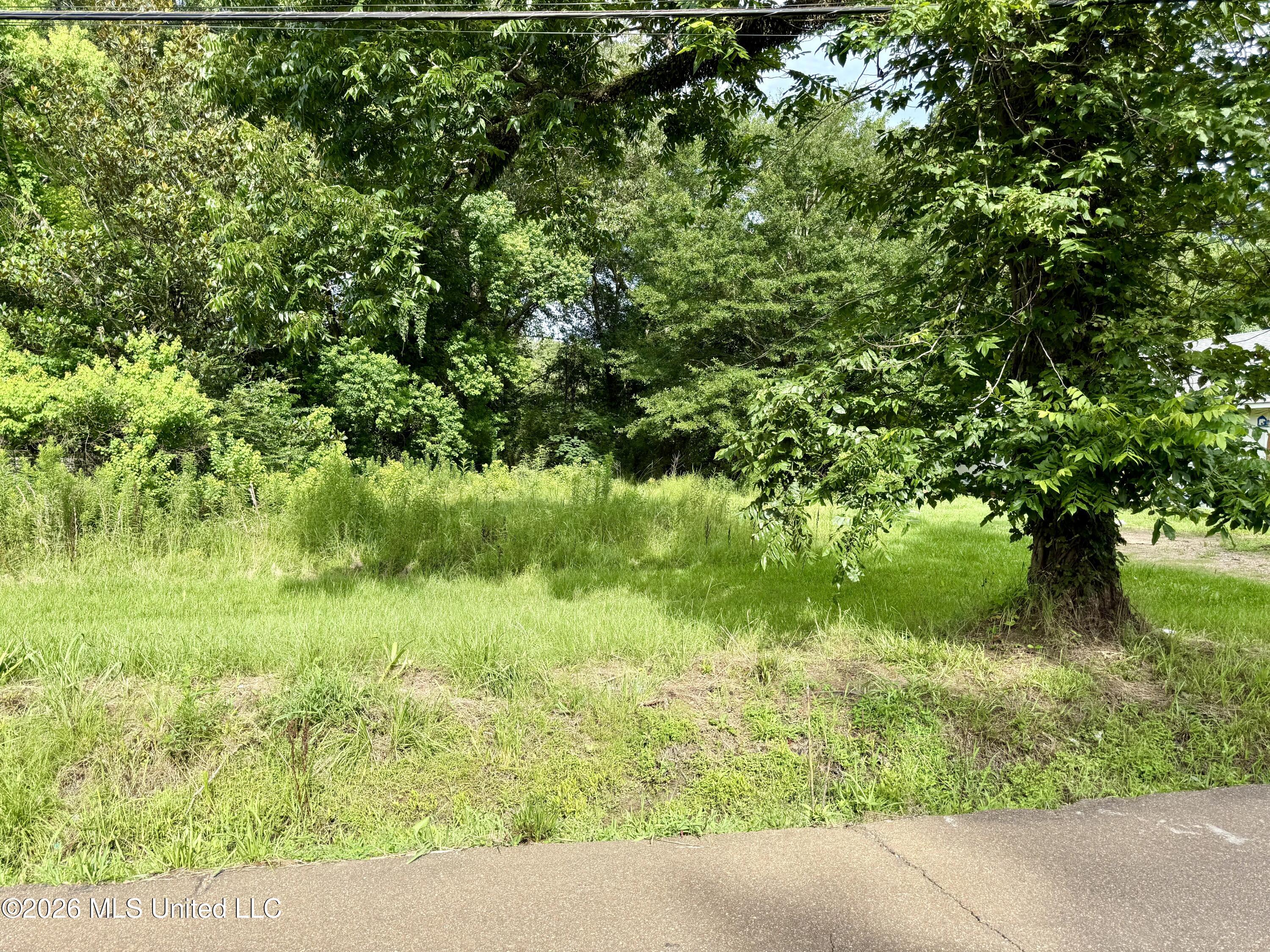 341 Miller Street Property Photo 1