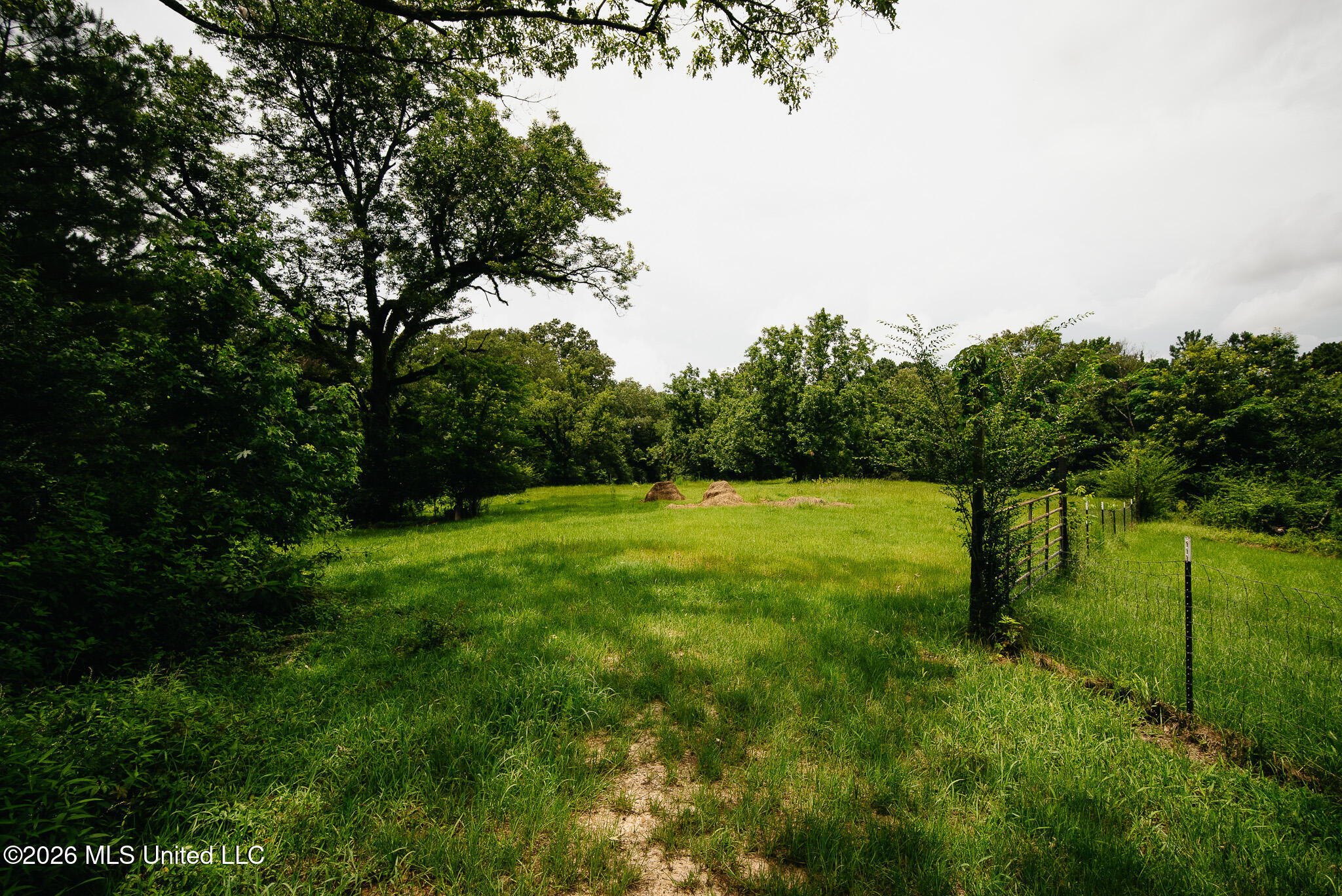 2139 Warren Hood Road Property Photo 69