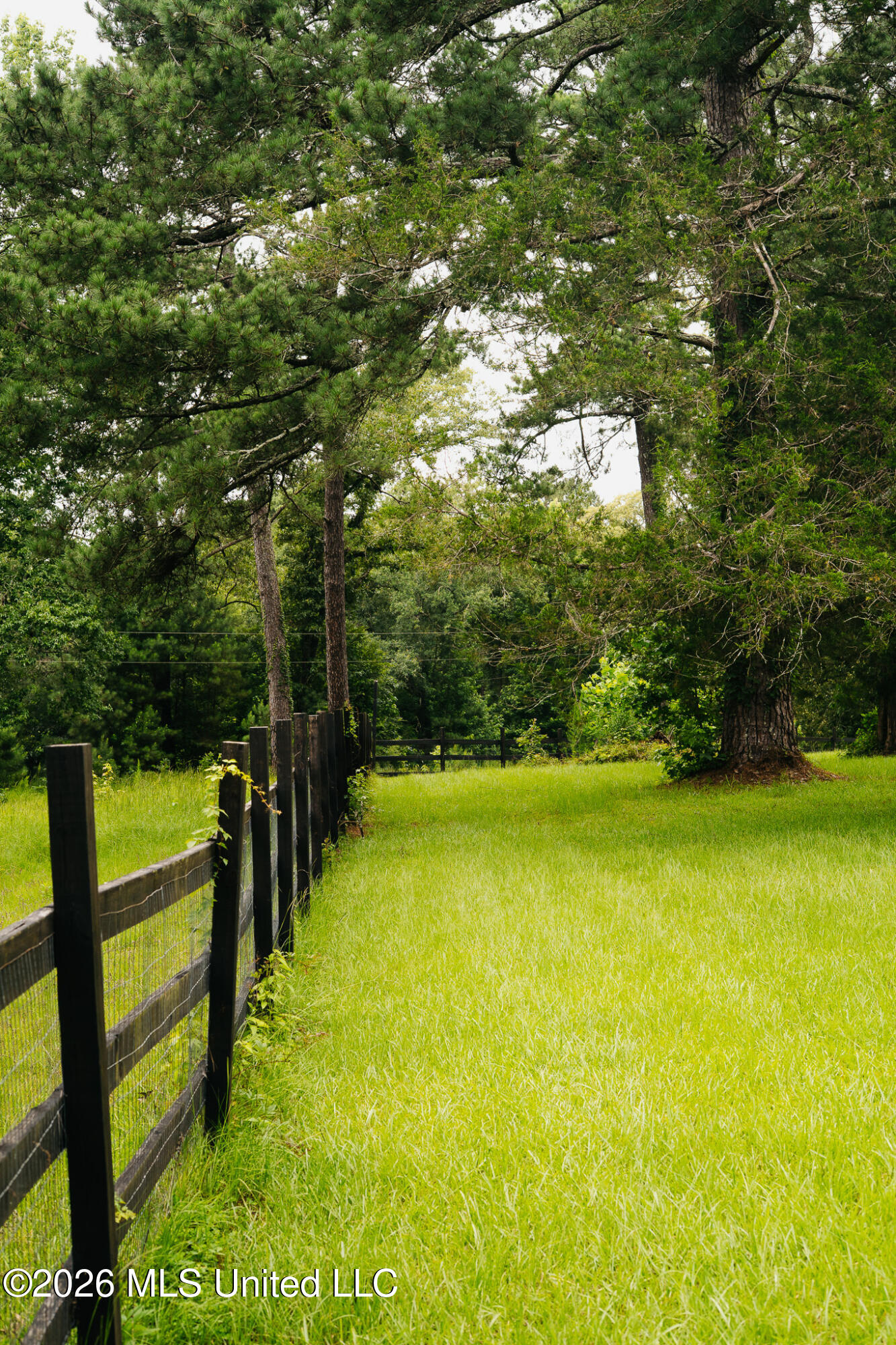 2139 Warren Hood Road Property Photo 71
