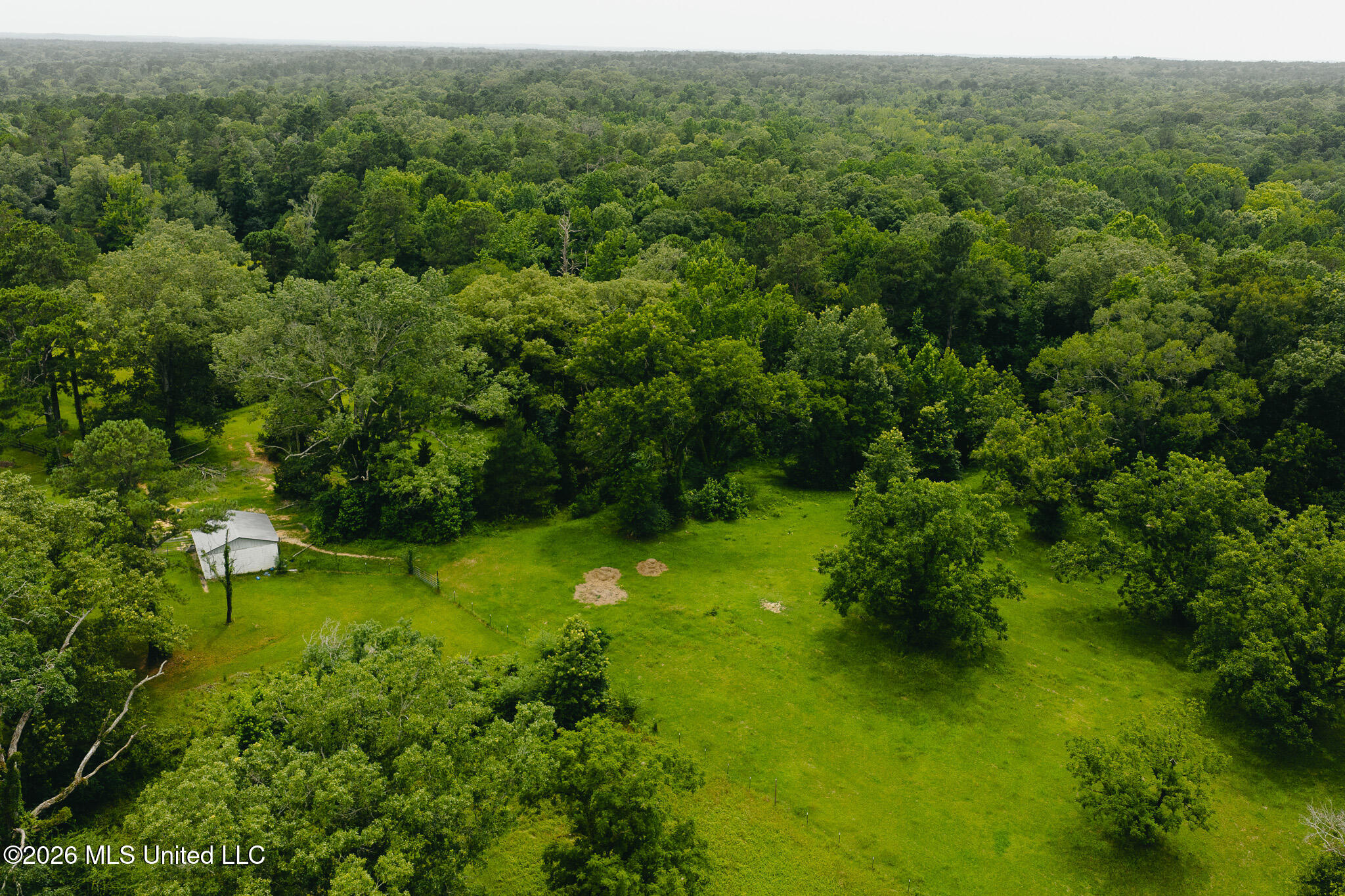 2139 Warren Hood Road Property Photo 81